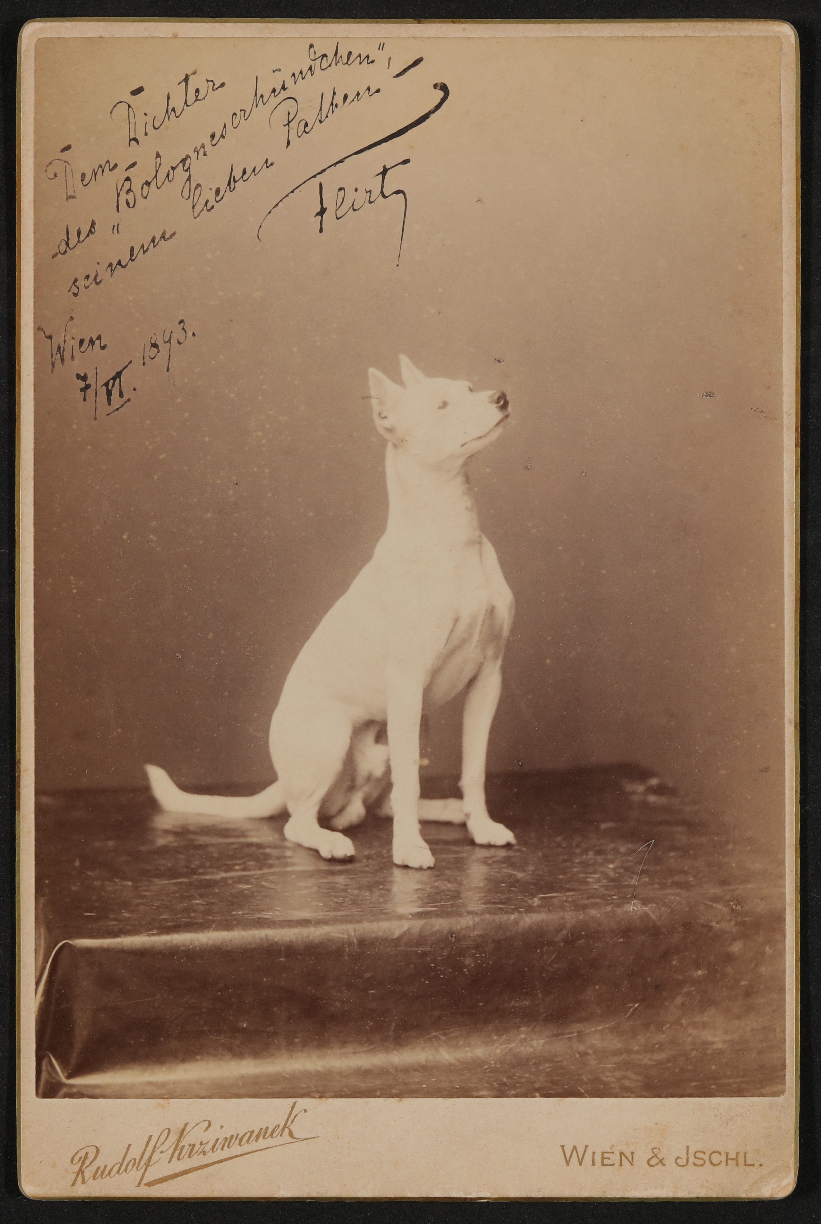 Portrait des Hundes "Flirt" von Richard Beer-Hofmann mit Widmung (Freies Deutsches Hochstift / Frankfurter Goethe-Museum CC BY-NC-SA)