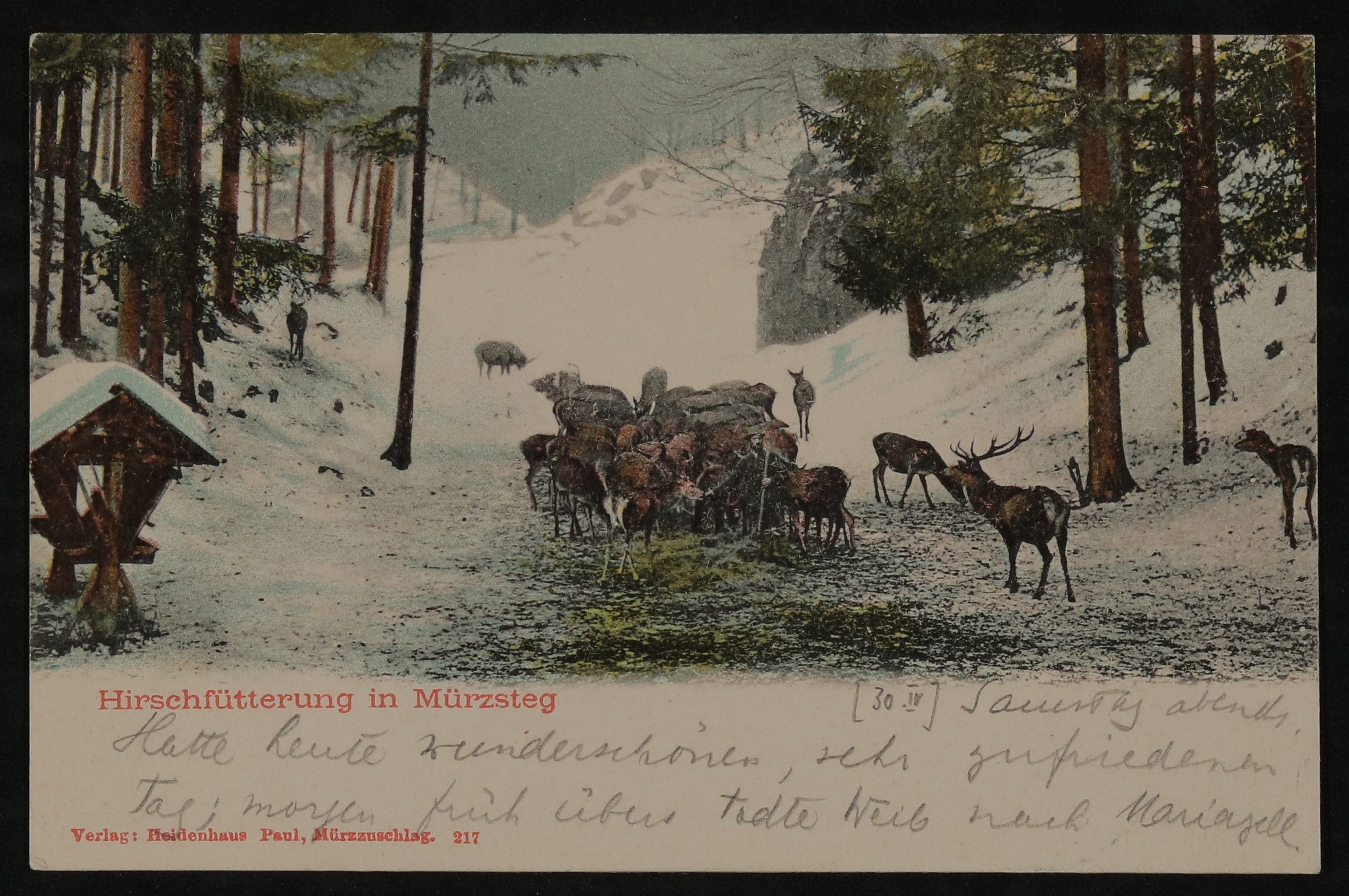 Ansichtskarte von Hofmannsthal an seinen Vater aus Mürzzuschlag mit "Hirschfütterung in Mürzsteg" (Freies Deutsches Hochstift / Frankfurter Goethe-Museum CC BY-NC-SA)