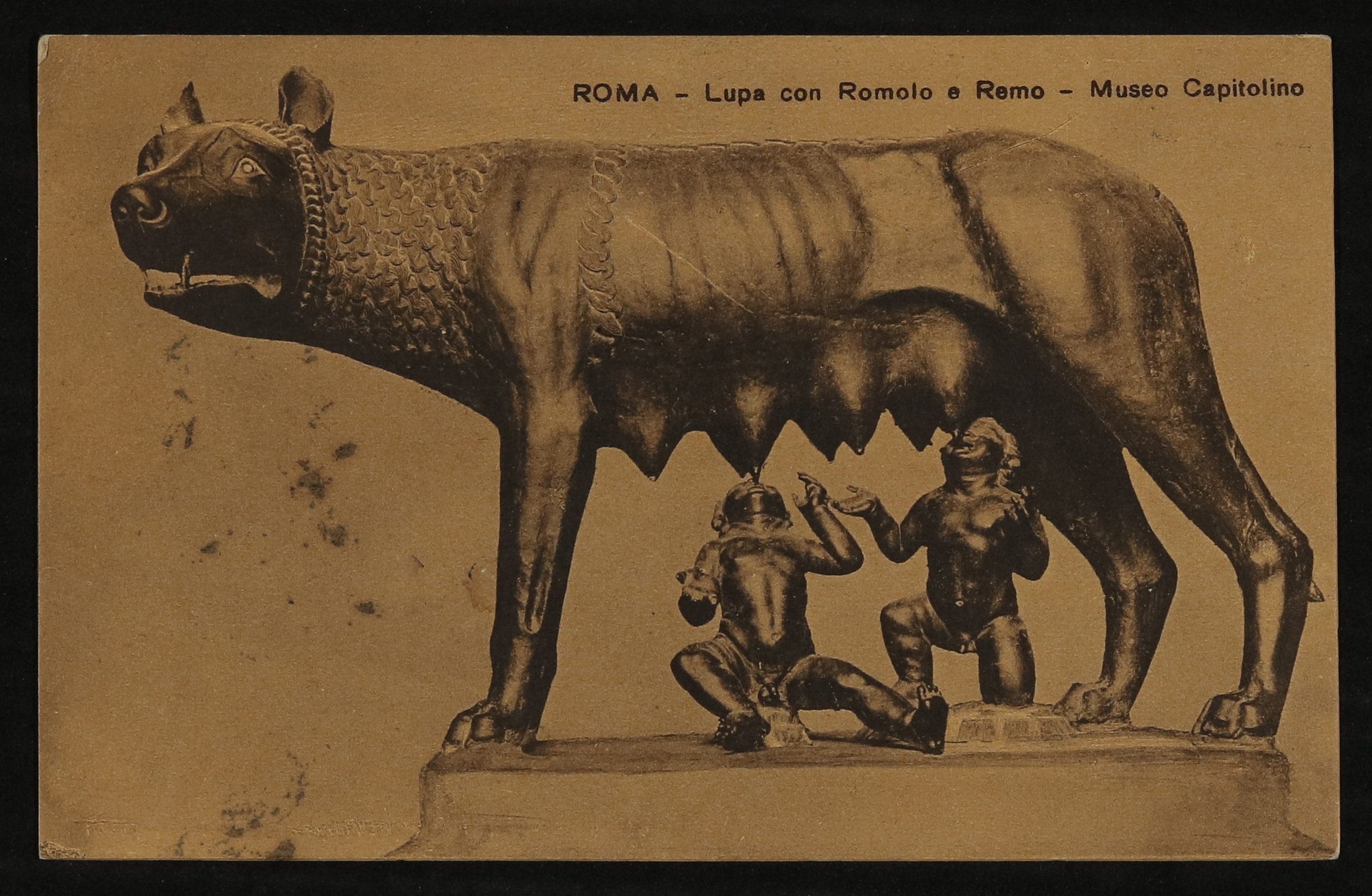 Ansichtskarte von Unbekannt an Hofmannsthal: Statue der Kapitolinische Wölfin mit Romulus und Remus (Freies Deutsches Hochstift / Frankfurter Goethe-Museum CC BY-NC-SA)