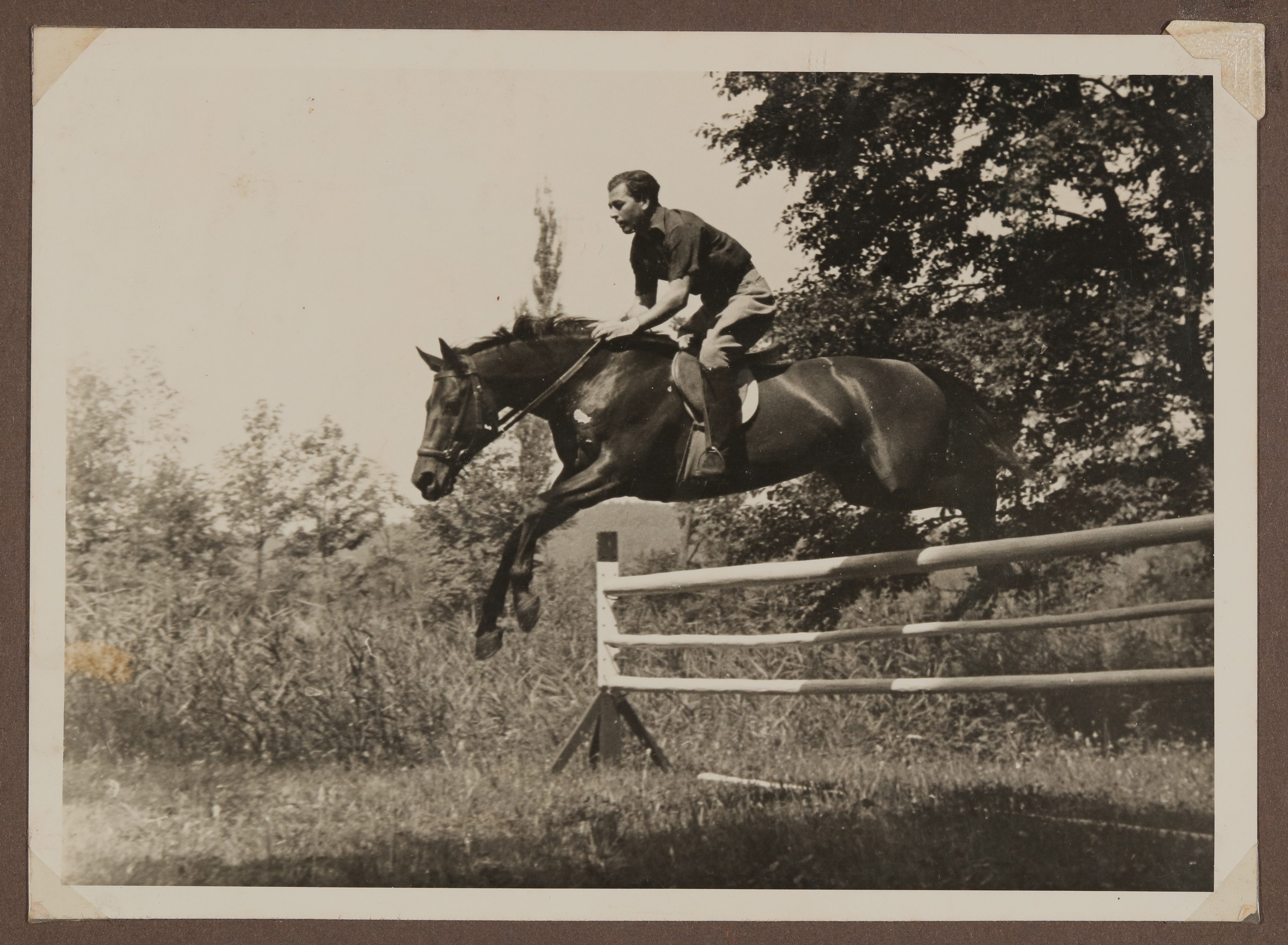 Raimund von Hofmannsthal springt mit einem Pferd über eine Hürde (Vera Graaf CC BY-NC-SA)