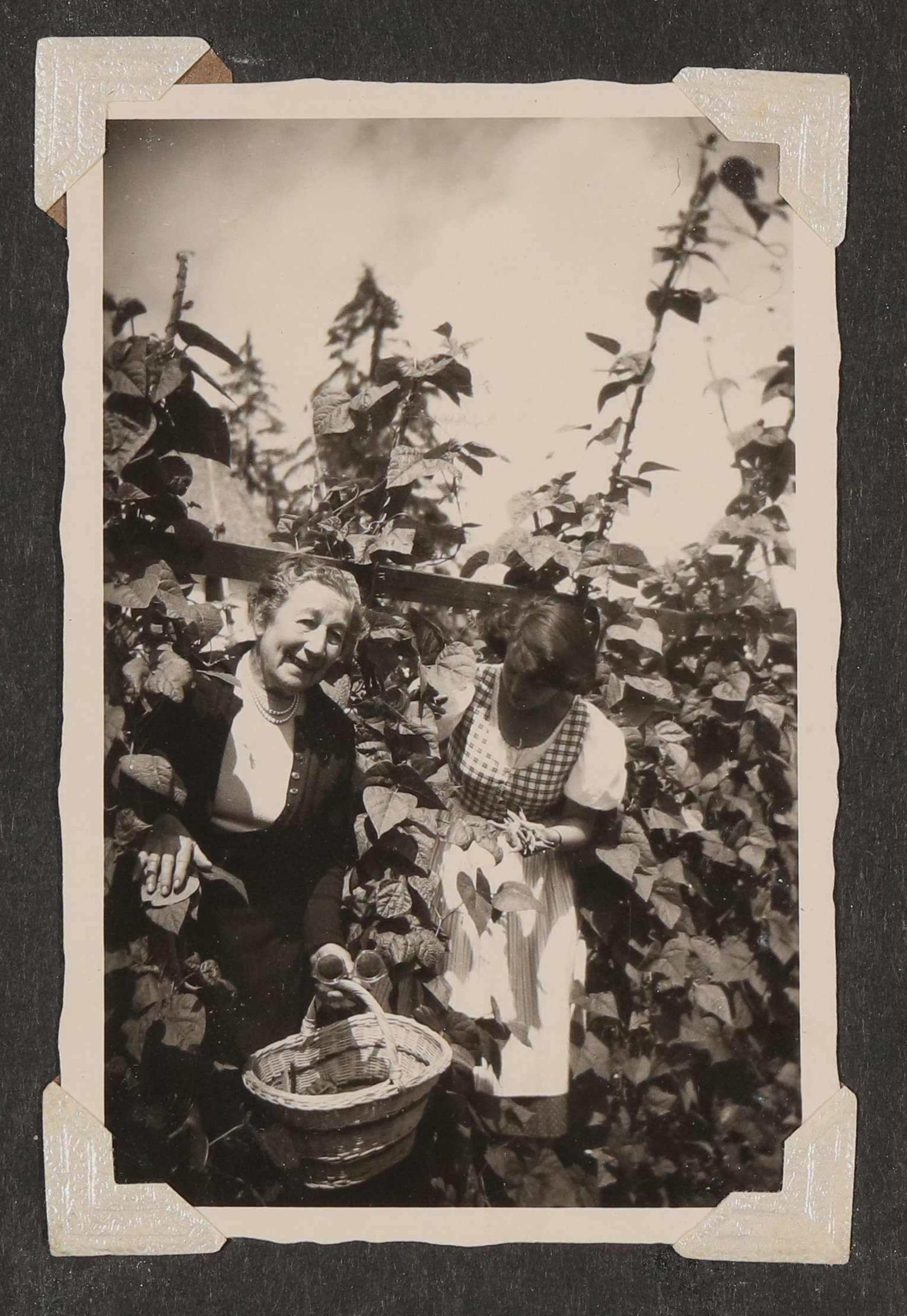 Gerty von Hofmannsthal mit Korb neben einer jungen Frau bei der Ernte (Vera Graaf CC BY-NC-SA)