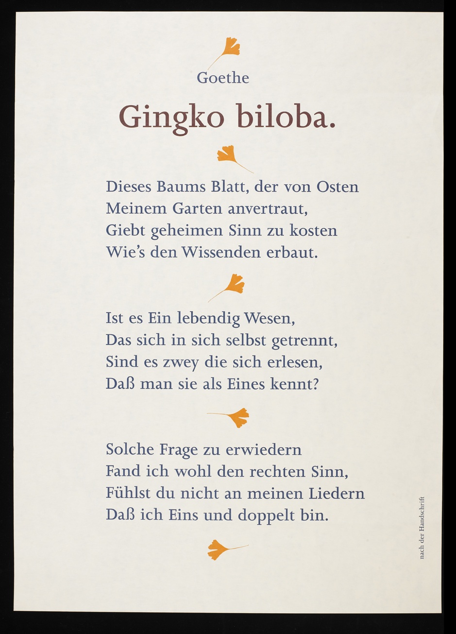 Ginkgo biloba (Freies Deutsches Hochstift / Frankfurter Goethe-Museum © Josua Reichert RR-F)