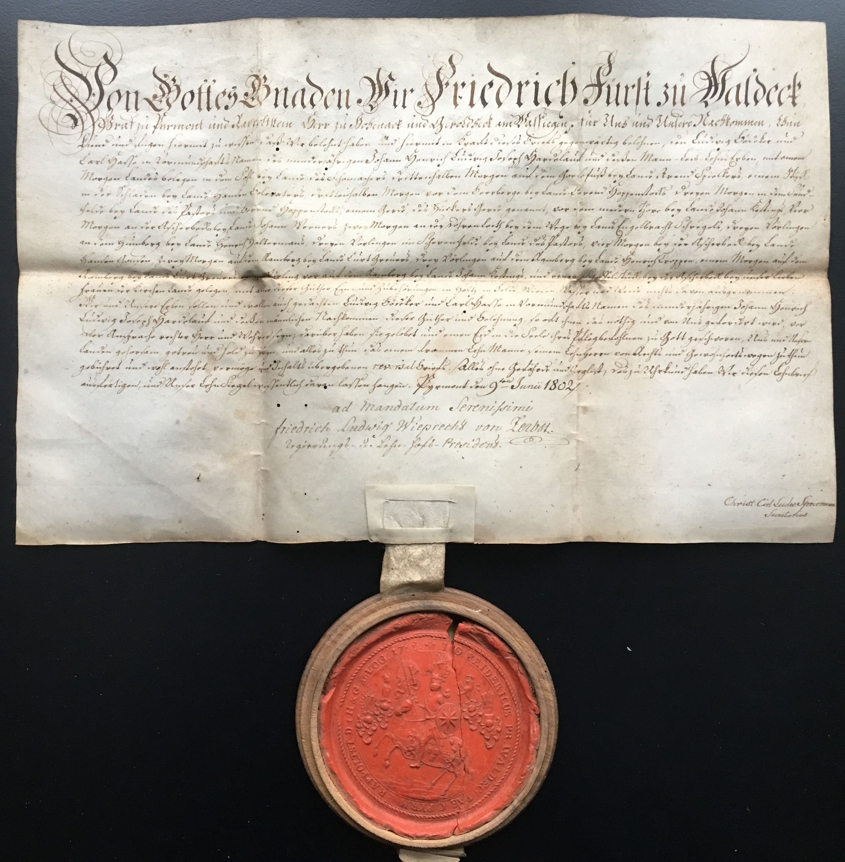 Urkunde Waldeck 1802 (Taunus-Rhein-Main - Regionalgeschichtliche Sammlung Dr. Stefan Naas CC BY-NC-SA)