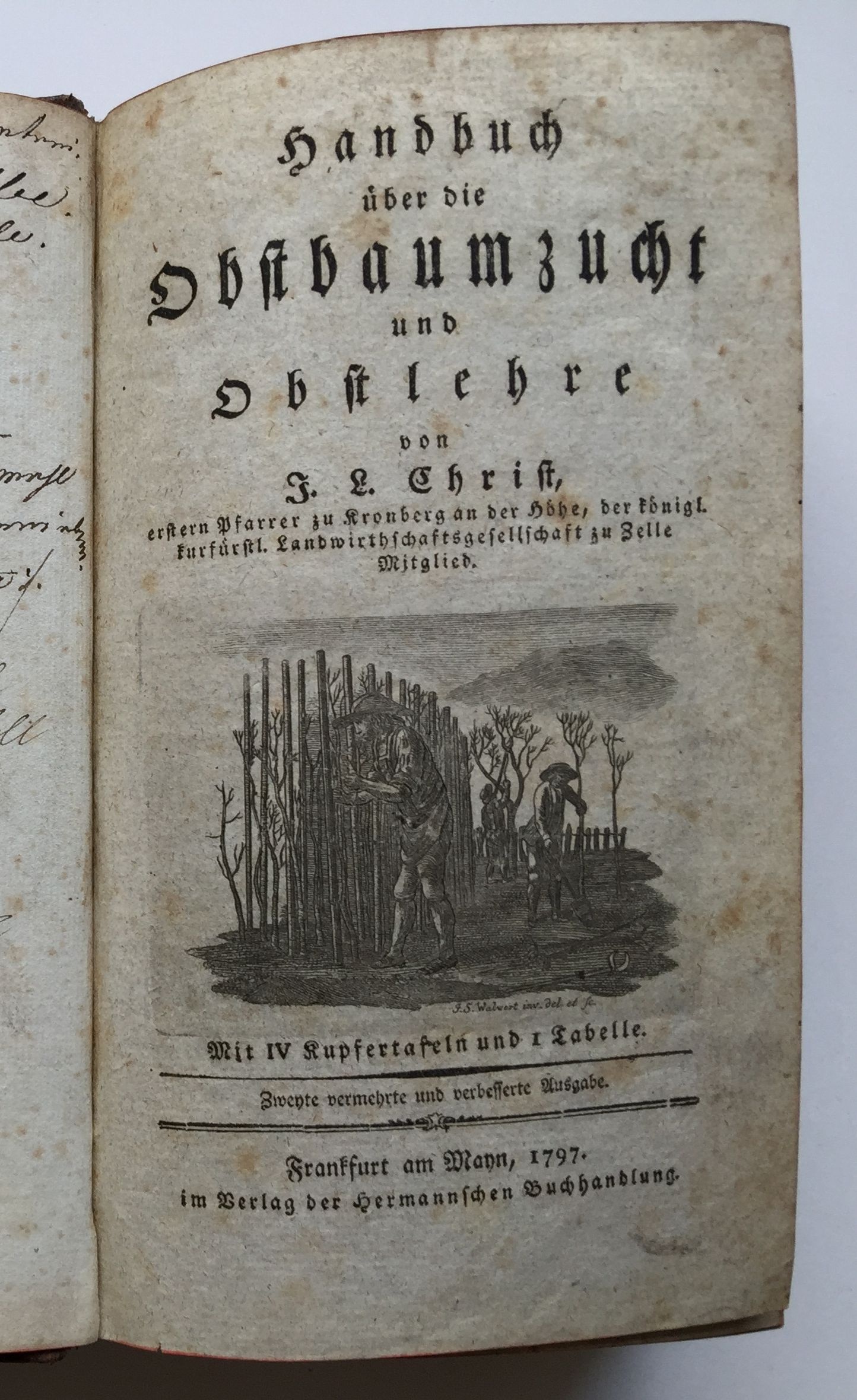 Johann Ludwig Christ, Handbuch über die Obstbaumzucht und Obstlehre. Zweite Auflage, 1797. (Taunus-Rhein-Main - Regionalgeschichtliche Sammlung Dr. Stefan Naas CC BY-NC-SA)