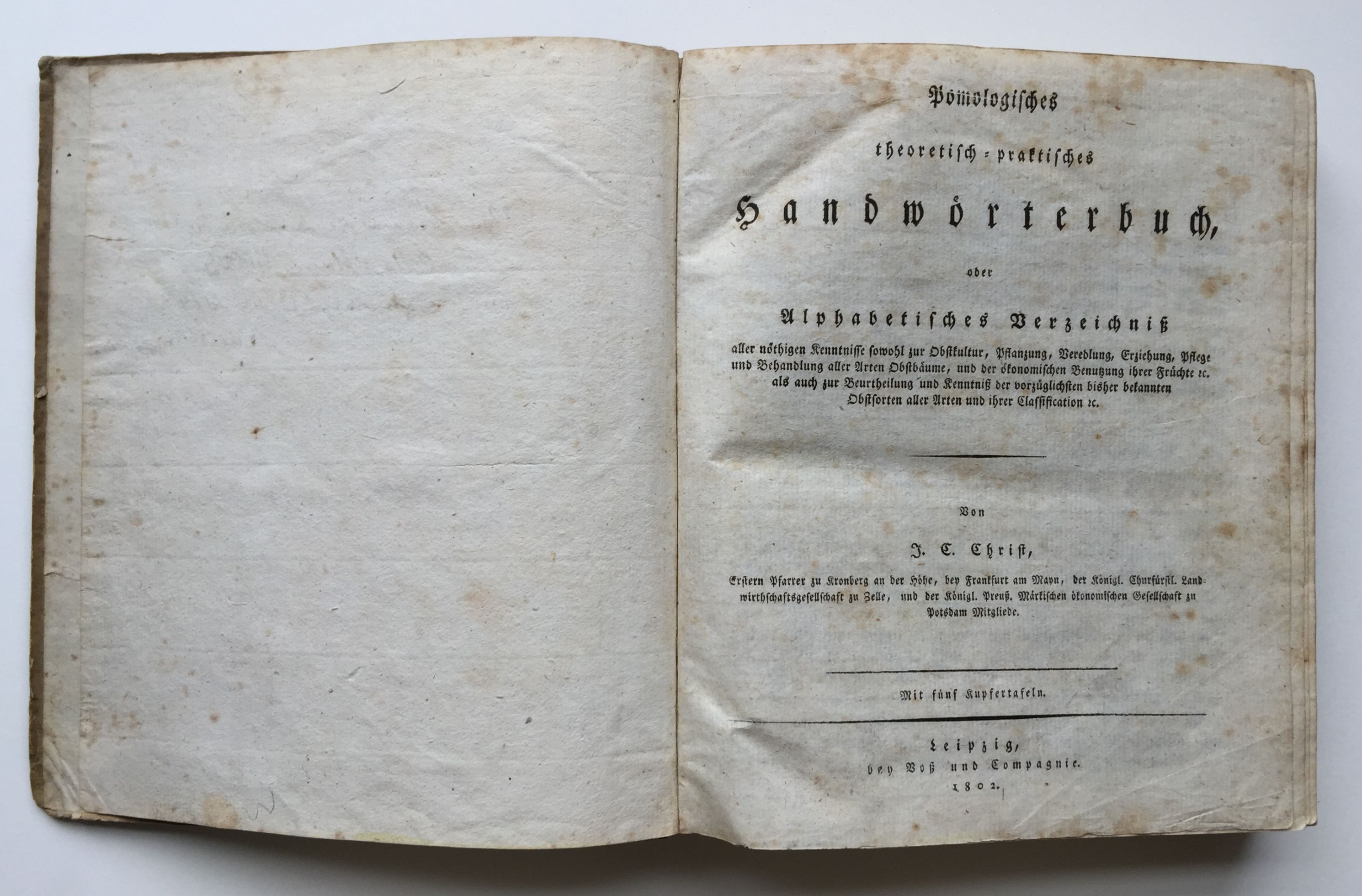 Johann Ludwig Christ, Pomologisches theoretisch-praktisches Handwörterbuch, 1802 (Taunus-Rhein-Main - Regionalgeschichtliche Sammlung Dr. Stefan Naas CC BY-NC-SA)