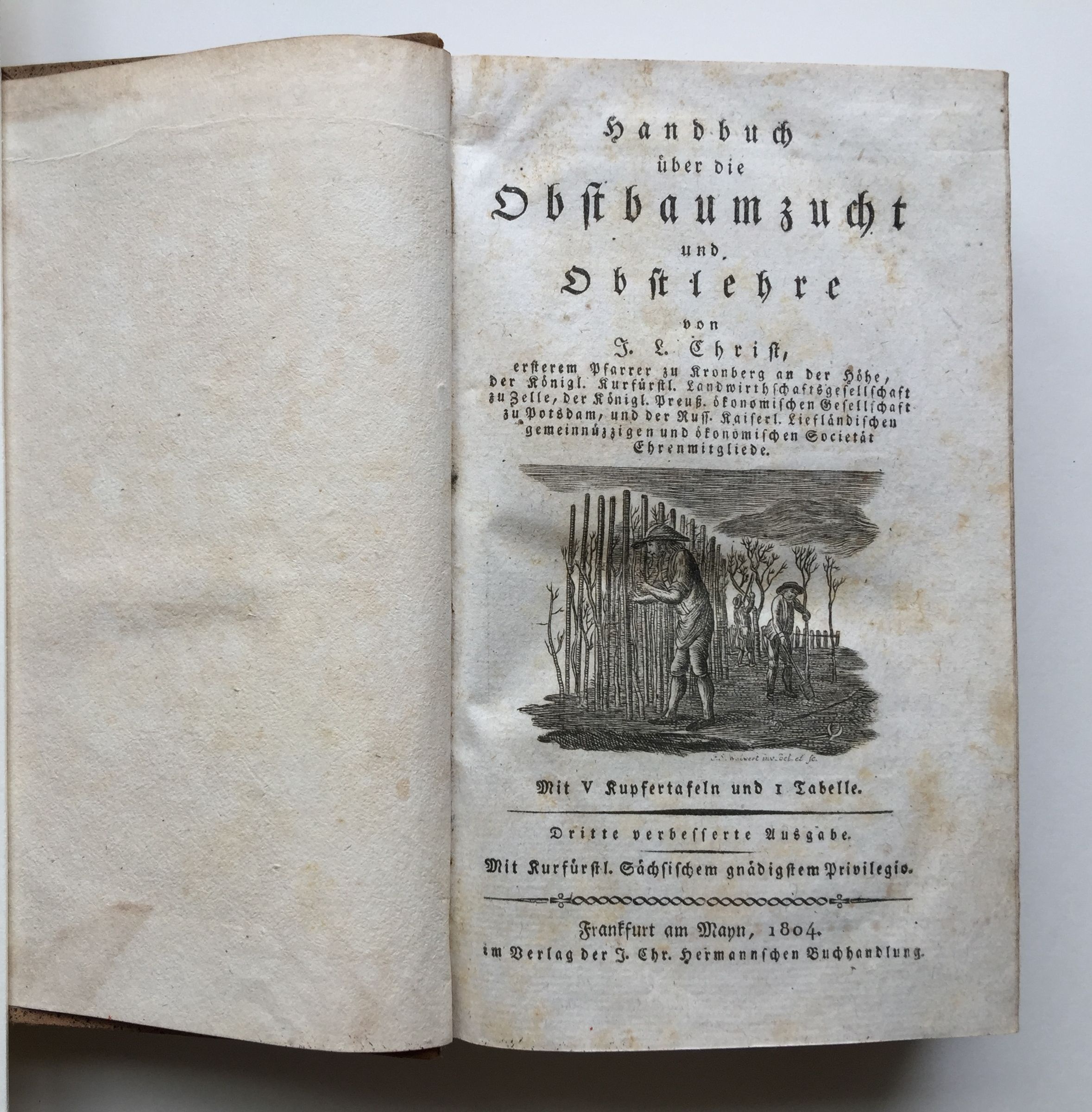 Johann Ludwig Christ, Handbuch über die Obstbaumzucht und Obstlehre, 3. Auflage, 1804. (Taunus-Rhein-Main - Regionalgeschichtliche Sammlung Dr. Stefan Naas CC BY-NC-SA)