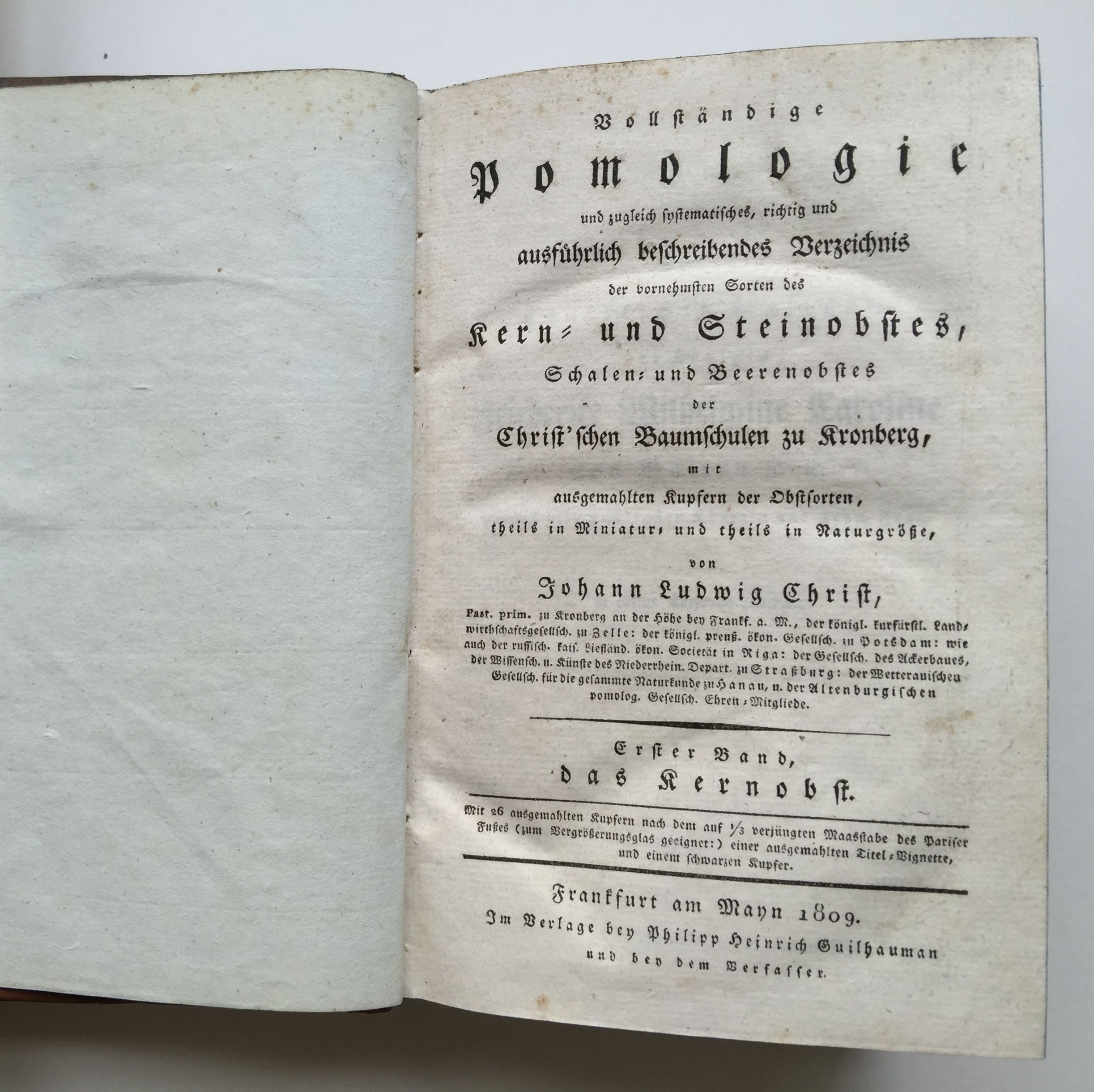 Johann Ludwig Christ, Vollständige Pomologie, 1. Band, 1809. (Taunus-Rhein-Main - Regionalgeschichtliche Sammlung Dr. Stefan Naas CC BY-NC-SA)