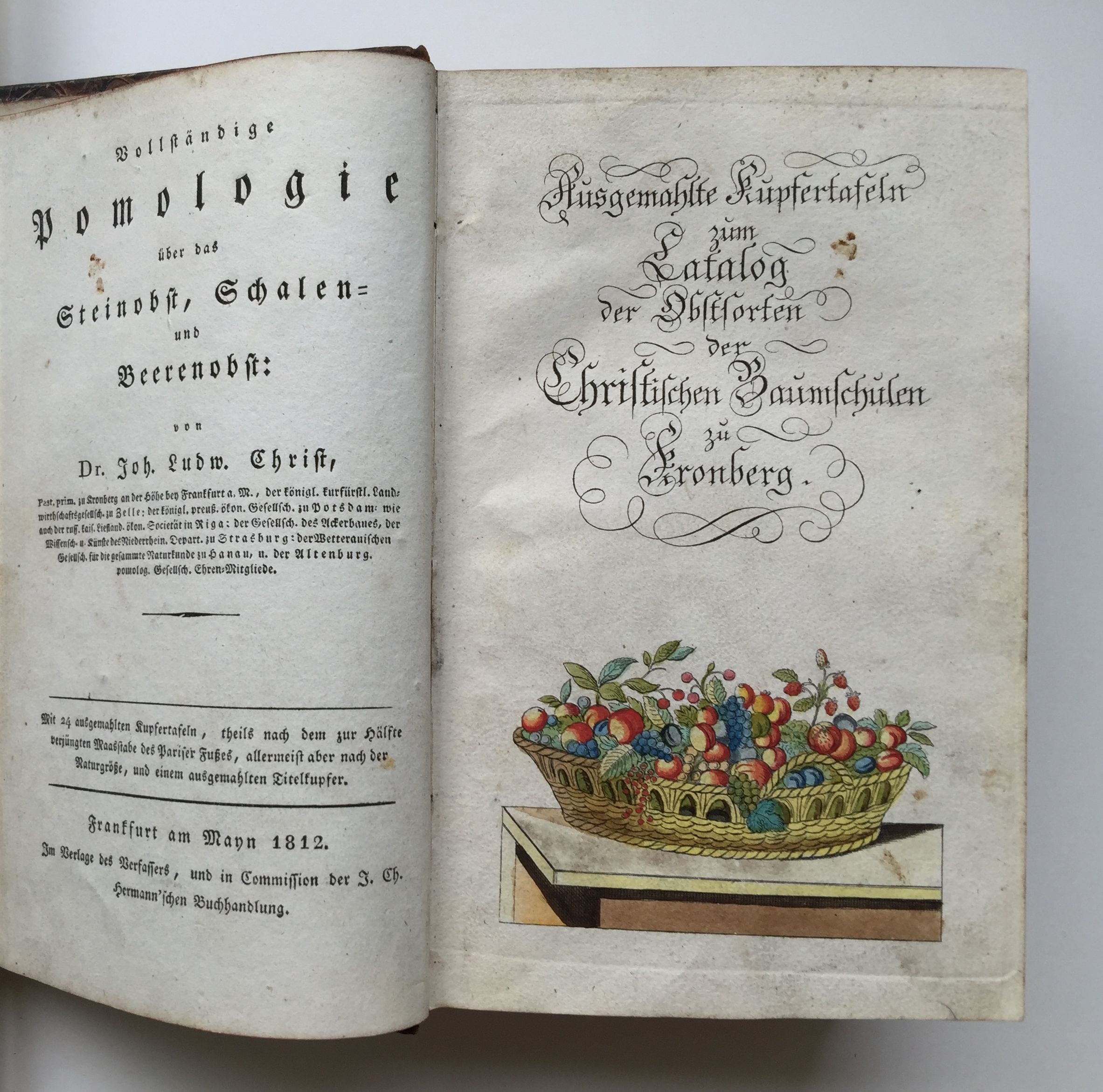 Johann Ludwig Christ, Vollständige Pomologie, Zweiter Band, 1812 (Taunus-Rhein-Main - Regionalgeschichtliche Sammlung Dr. Stefan Naas CC BY-NC-SA)