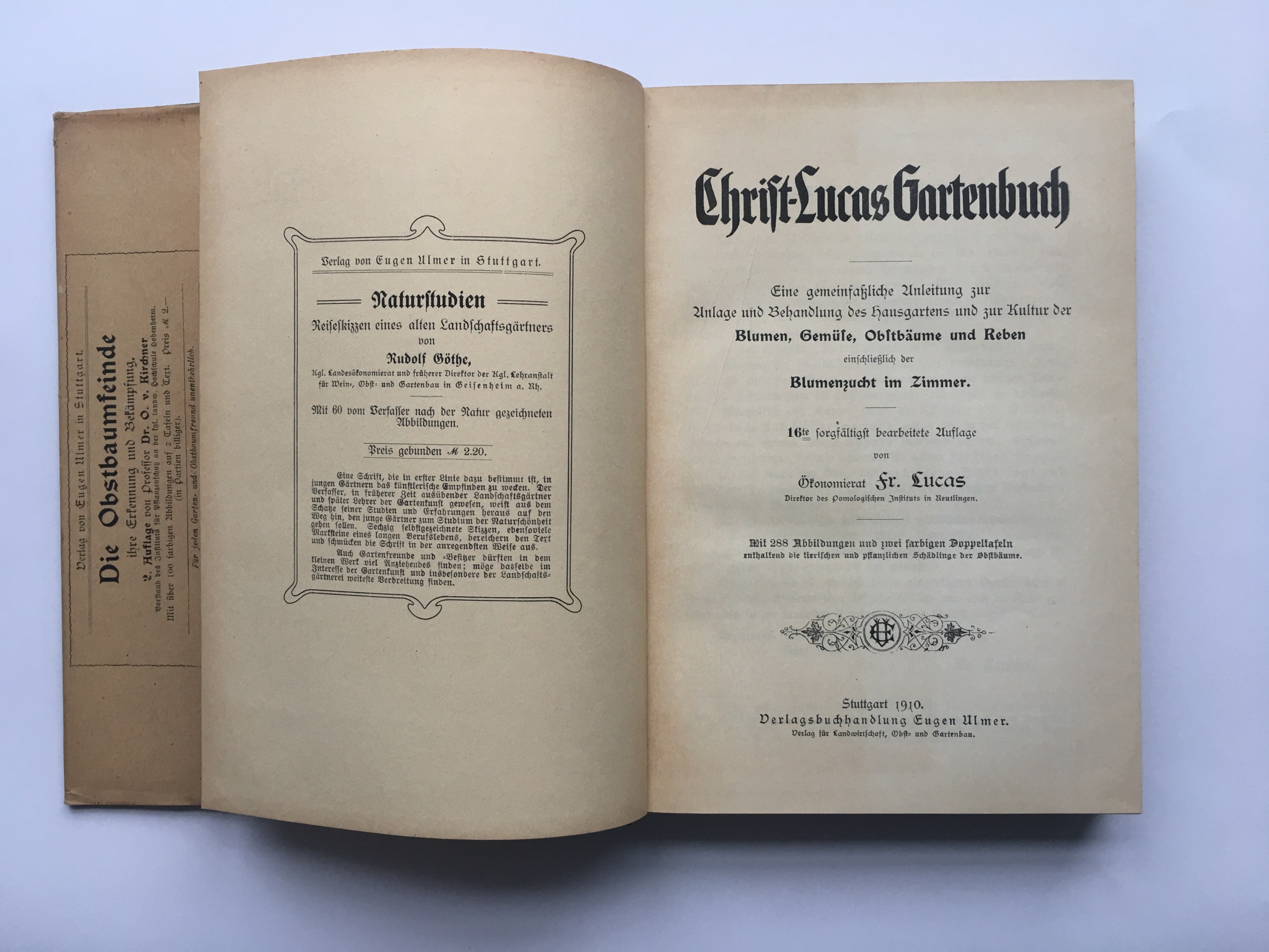 Friedrich Lucas, Christ-Lucas Gartenbuch, 16. Auflage, 1910 (Taunus-Rhein-Main - Regionalgeschichtliche Sammlung Dr. Stefan Naas CC BY-NC-SA)
