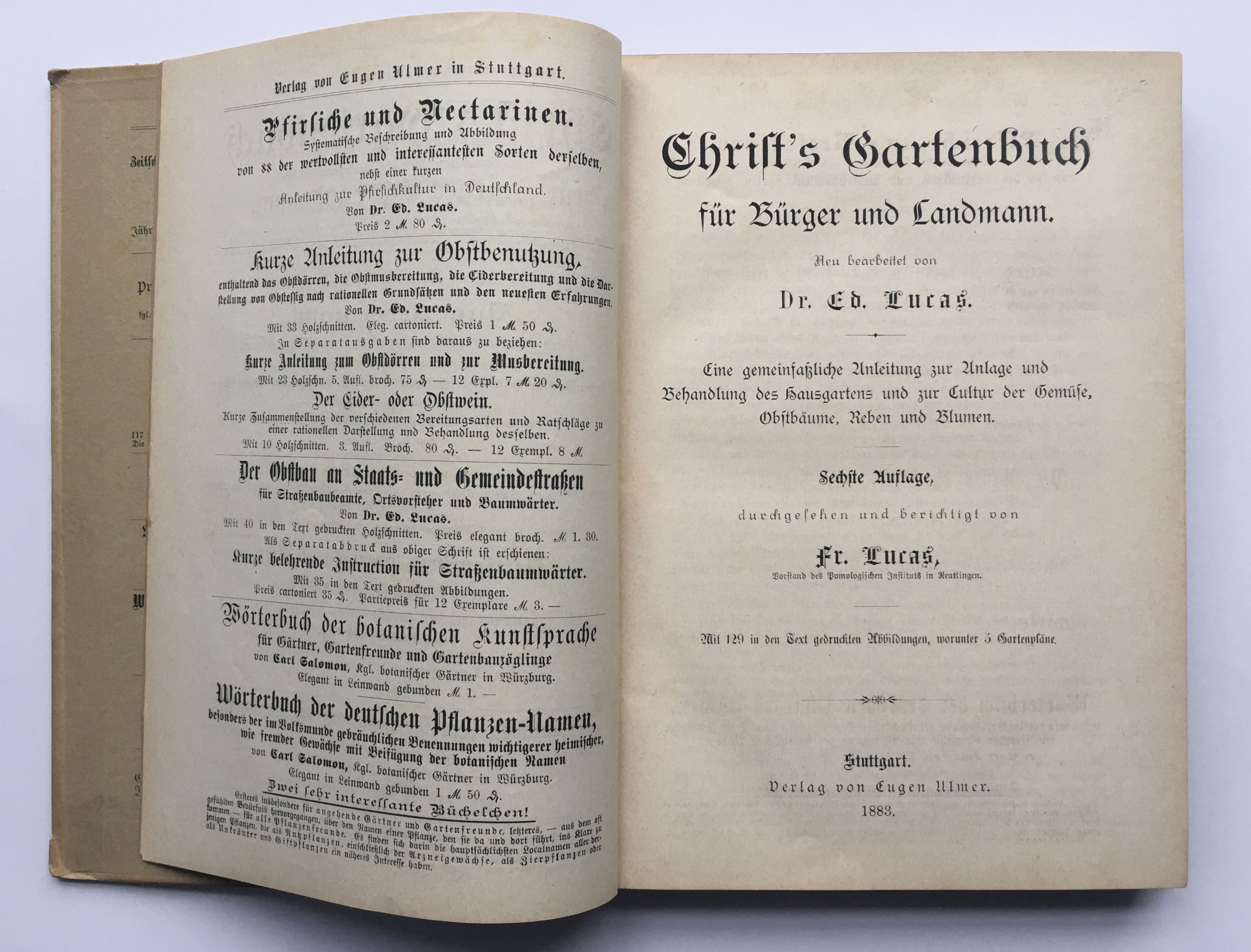 Eduard Lucas, Christ´s Gartenbuch für Bürger und Landmann, 6. Auflage, 1883 (Taunus-Rhein-Main - Regionalgeschichtliche Sammlung Dr. Stefan Naas CC BY-NC-SA)