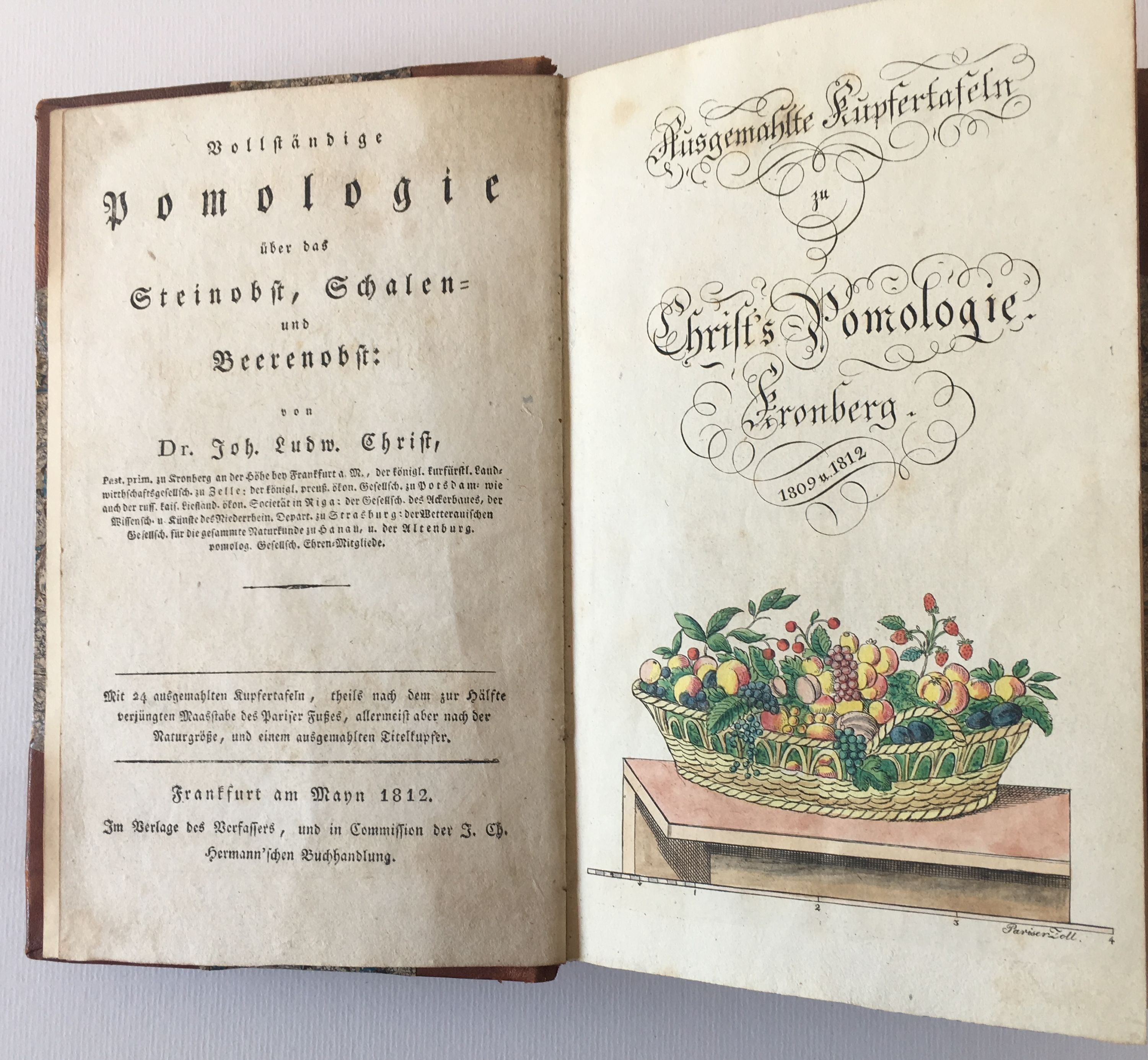 Johann Ludwig Christ, Vollständige Pomologie, Zweiter Band, 1812 (Taunus-Rhein-Main - Regionalgeschichtliche Sammlung Dr. Stefan Naas CC BY-NC-SA)