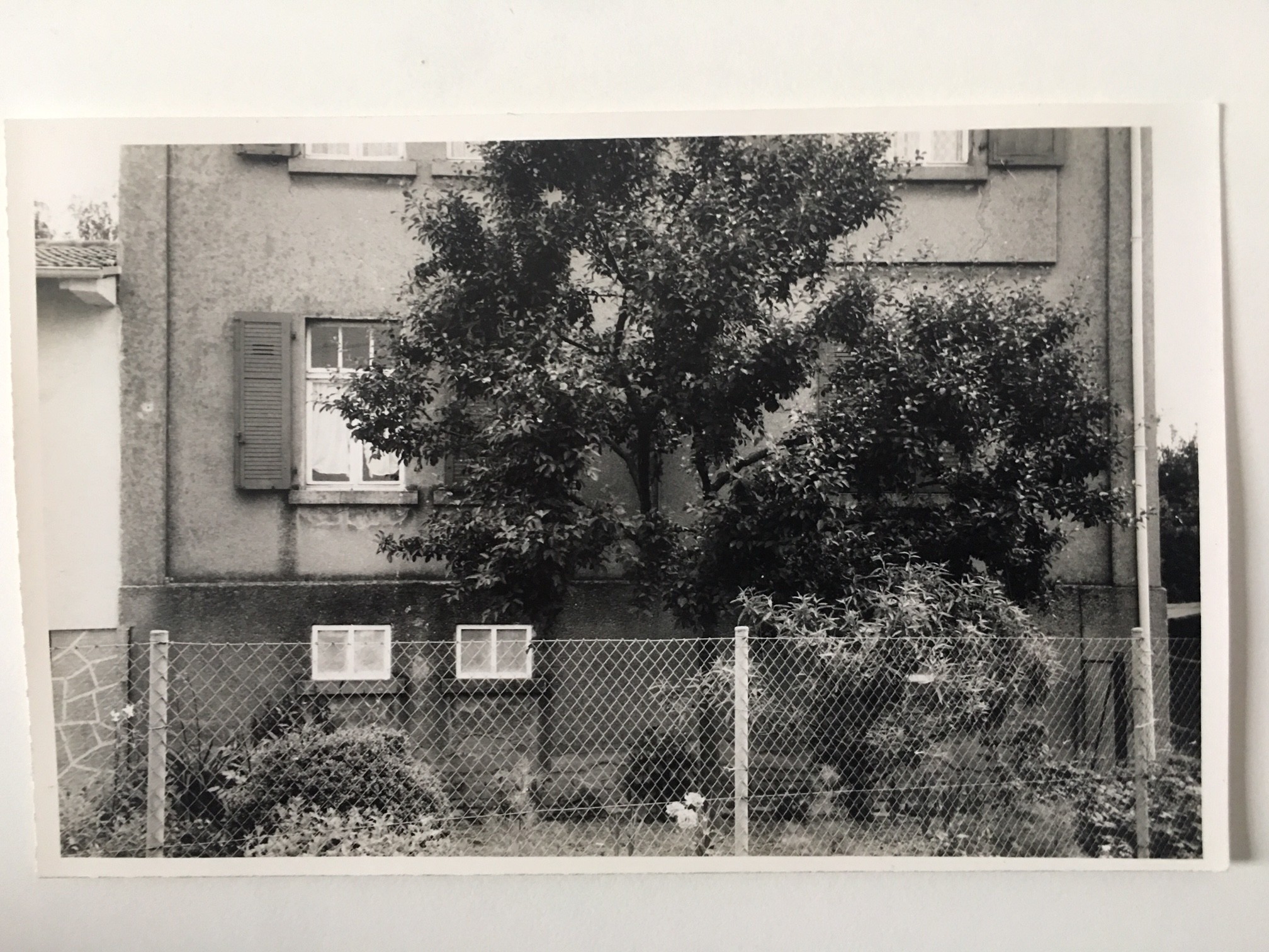 Untergasse 30, Steinbach, 1964 (Taunus-Rhein-Main - Regionalgeschichtliche Sammlung Dr. Stefan Naas CC BY-NC-SA)