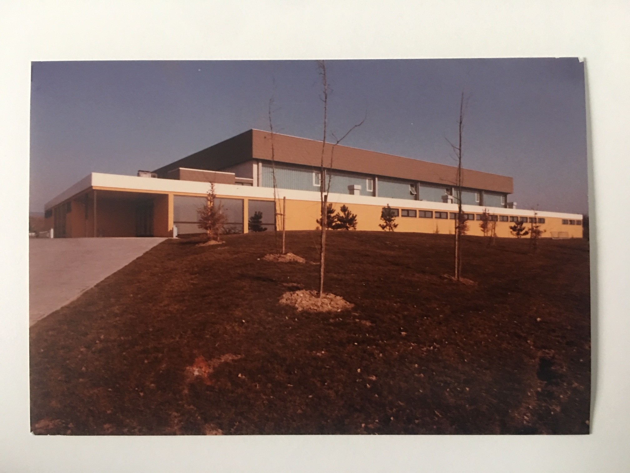 Die neue Altkönighalle mit neuer Bepflanzung, März 1984 (Taunus-Rhein-Main - Regionalgeschichtliche Sammlung Dr. Stefan Naas CC BY-NC-SA)