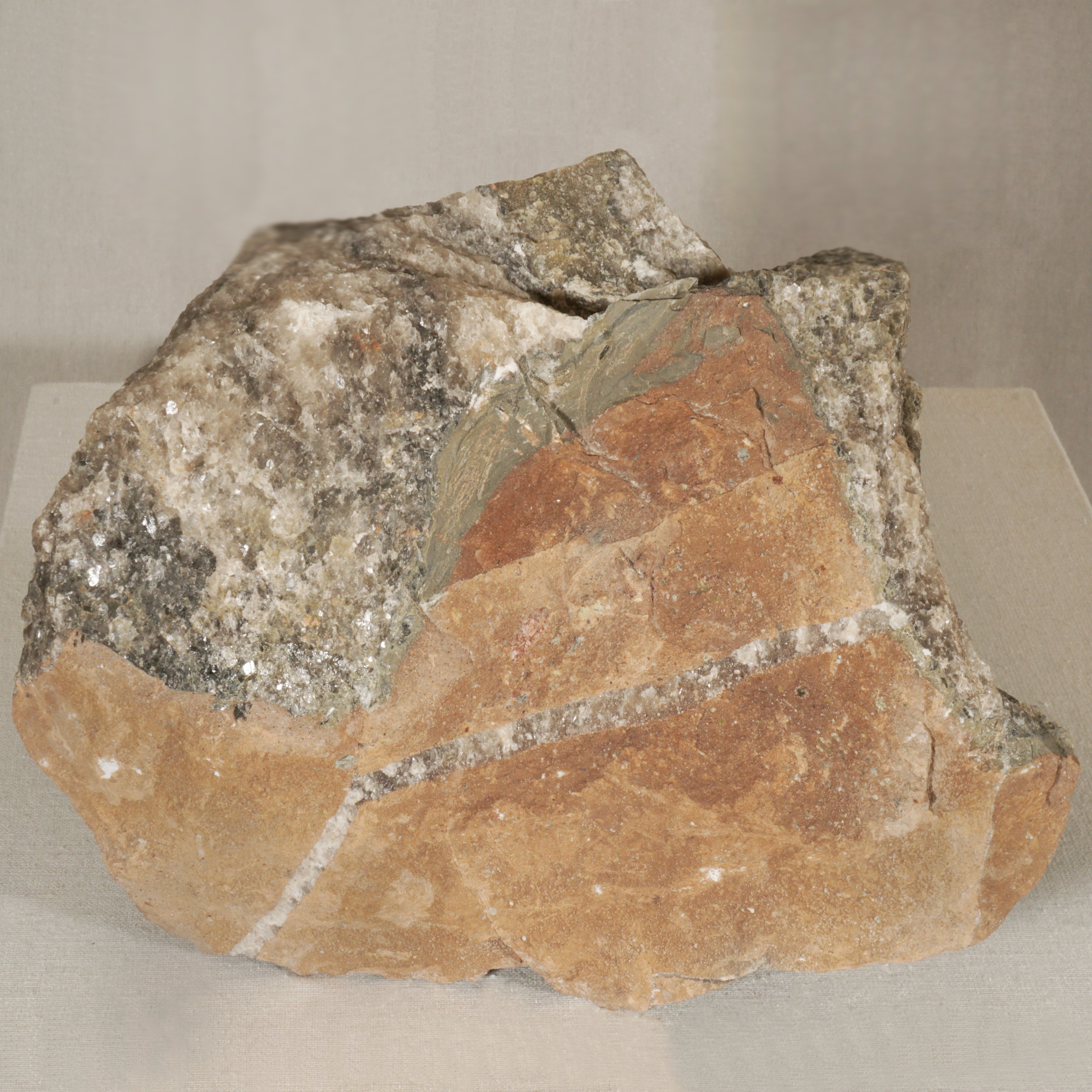 Steinsalz mit Sandstein (Werra-Kalibergbau-Museum, Heringen/W. CC BY-NC-SA)