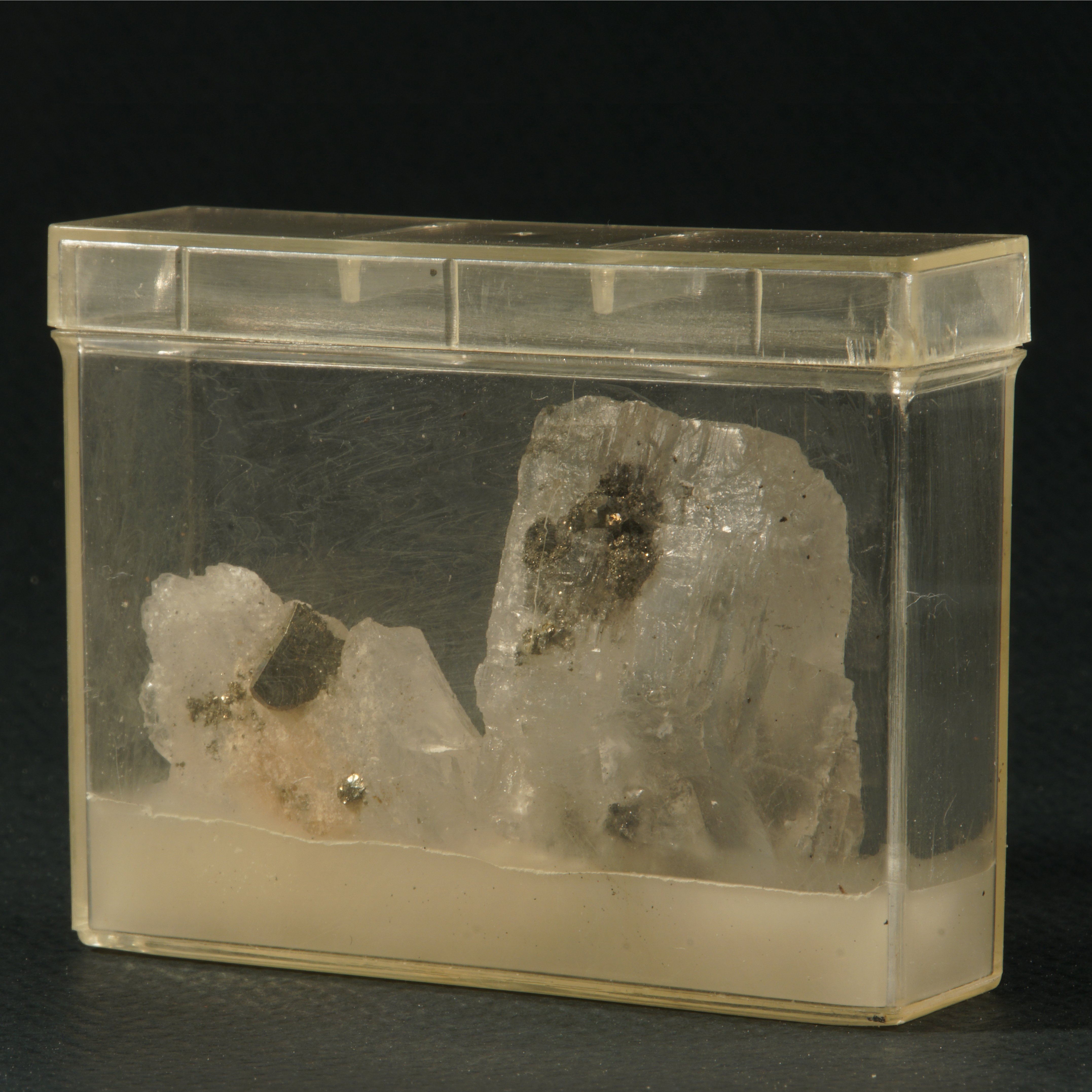 Steinsalz mit Pyrit (in Sammelbox) (Werra-Kalibergbau-Museum, Heringen/W. CC BY-NC-SA)