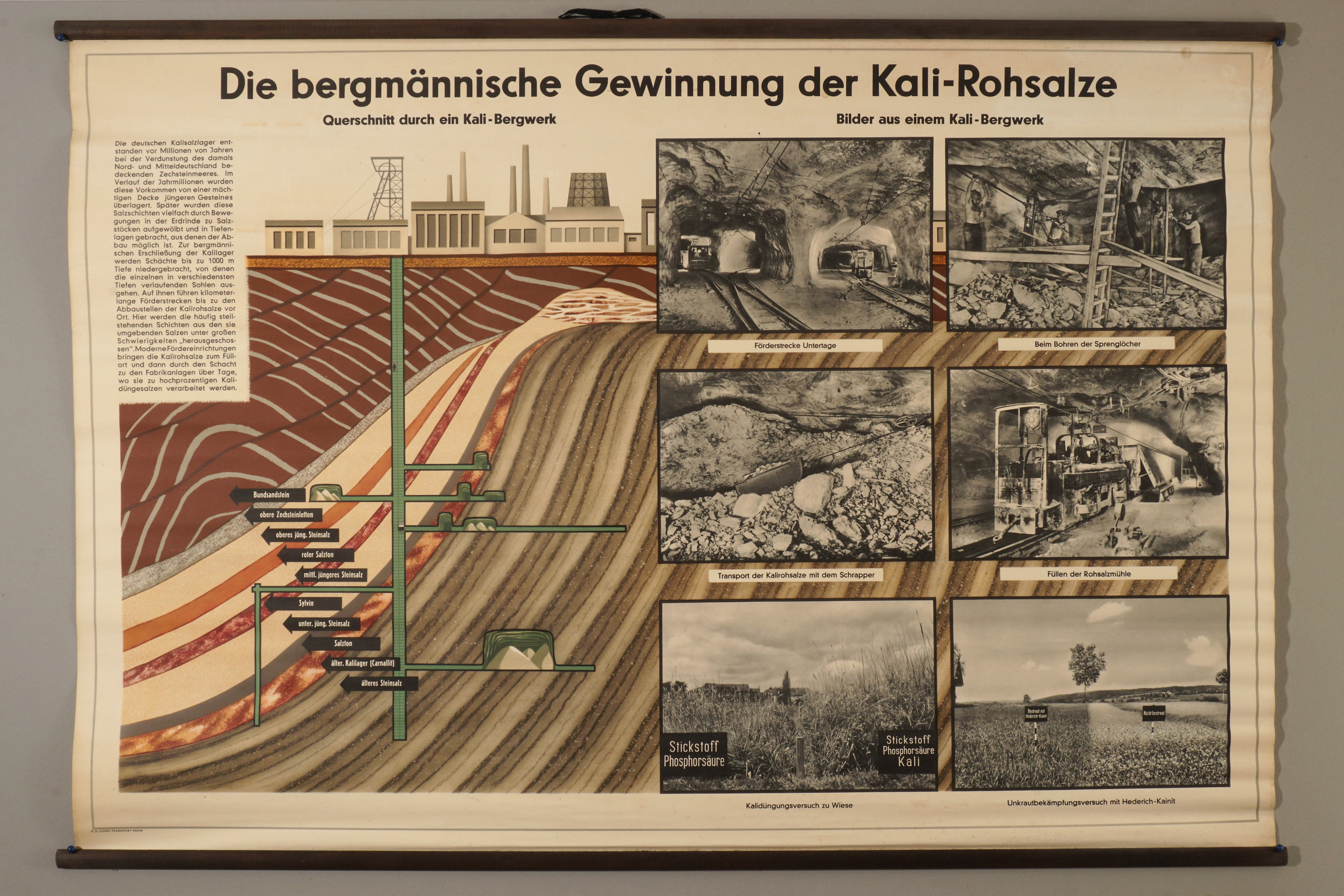 Lehrtafel 'Die bergmännische Gewinnung der Kali-Rohsalze' (Werra-Kalibergbau-Museum, Heringen/W. CC BY-NC-SA)