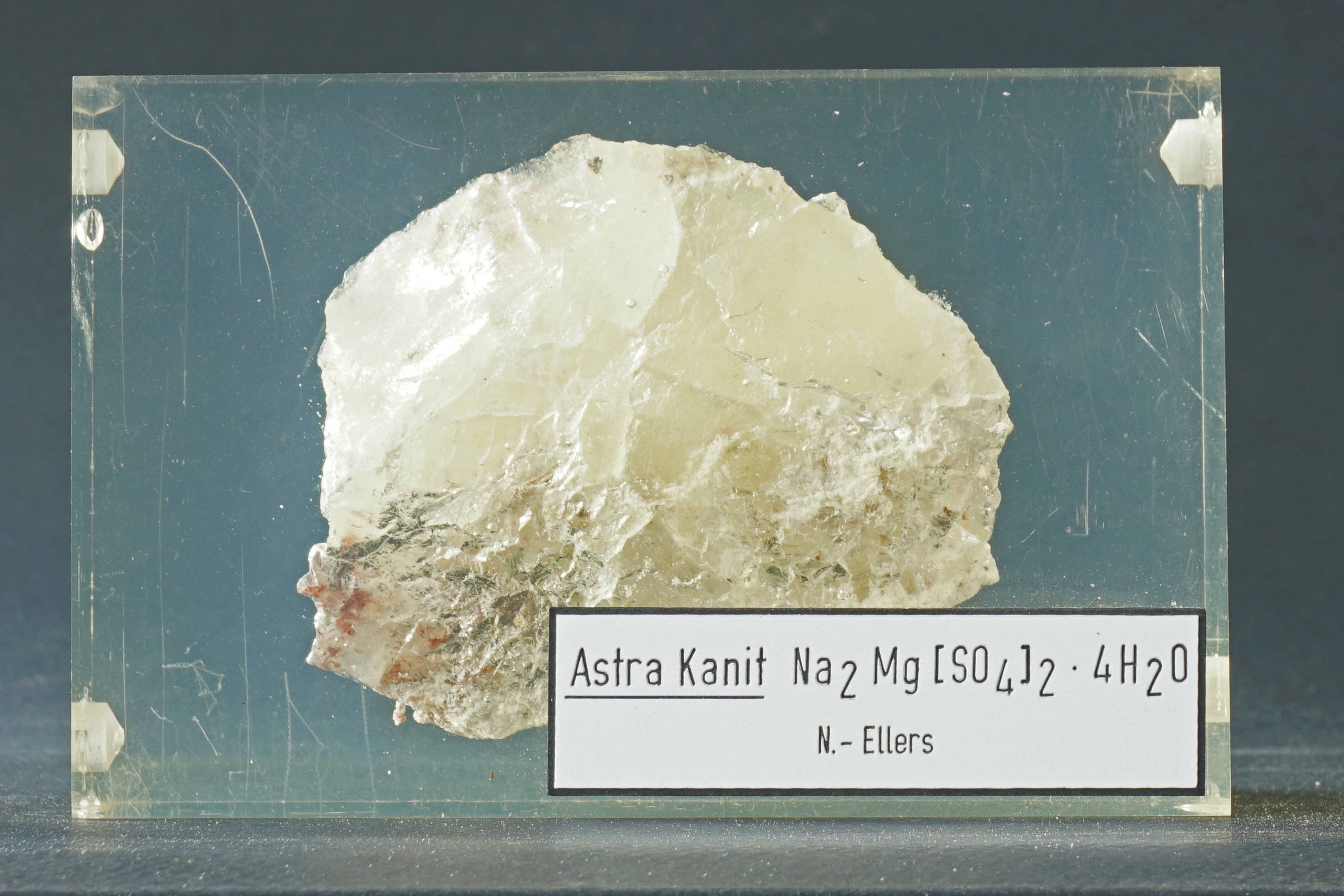 Astrakanit (Blödit) in Epoxidblock (Werra-Kalibergbau-Museum, Heringen/W. CC BY-NC-SA)