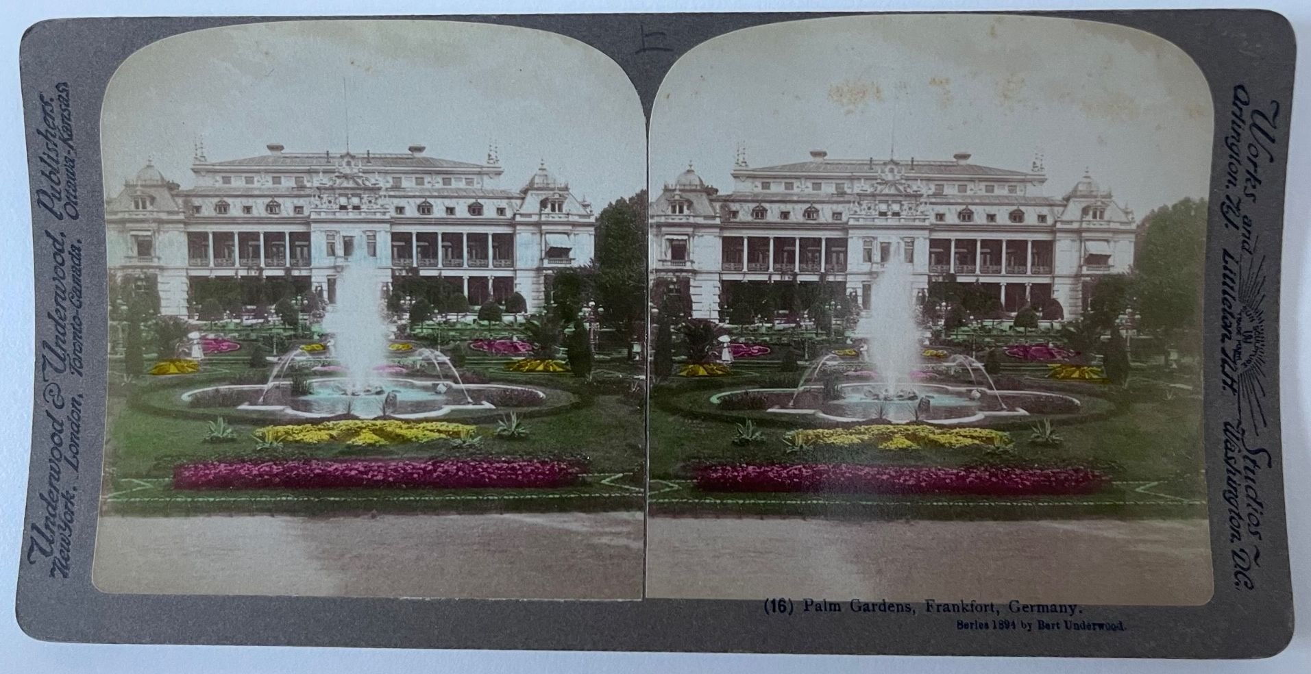 Underwood & Underwood, (16) Palm Gardens, Frankfort Germany, 1894 (Taunus-Rhein-Main - Regionalgeschichtliche Sammlung Dr. Stefan Naas CC BY-NC-SA)