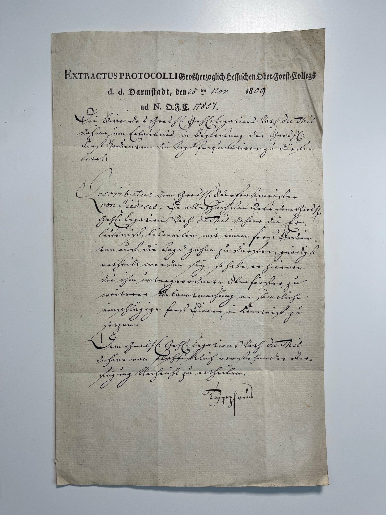 Urkunde, Karl du Thil erhält die Erlaubnis auf die Jagd frequentieren zu dürfen, 28. November 1809 (Taunus-Rhein-Main - Regionalgeschichtliche Sammlung Dr. Stefan Naas CC BY-NC-SA)