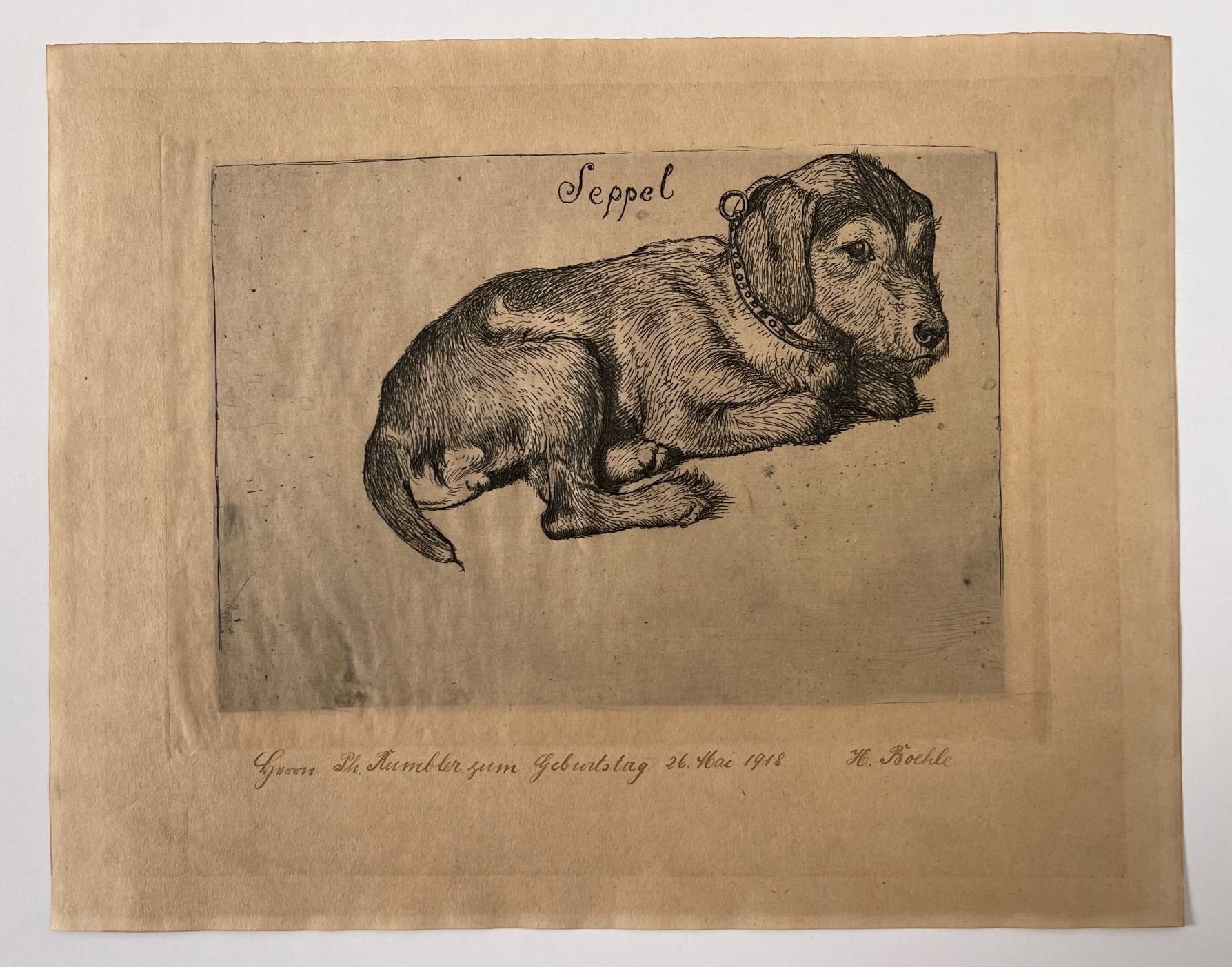 Fritz Boehle, Der Hund des Künstlers, "Seppel", 1896. (Taunus-Rhein-Main - Regionalgeschichtliche Sammlung Dr. Stefan Naas CC BY-NC-SA)
