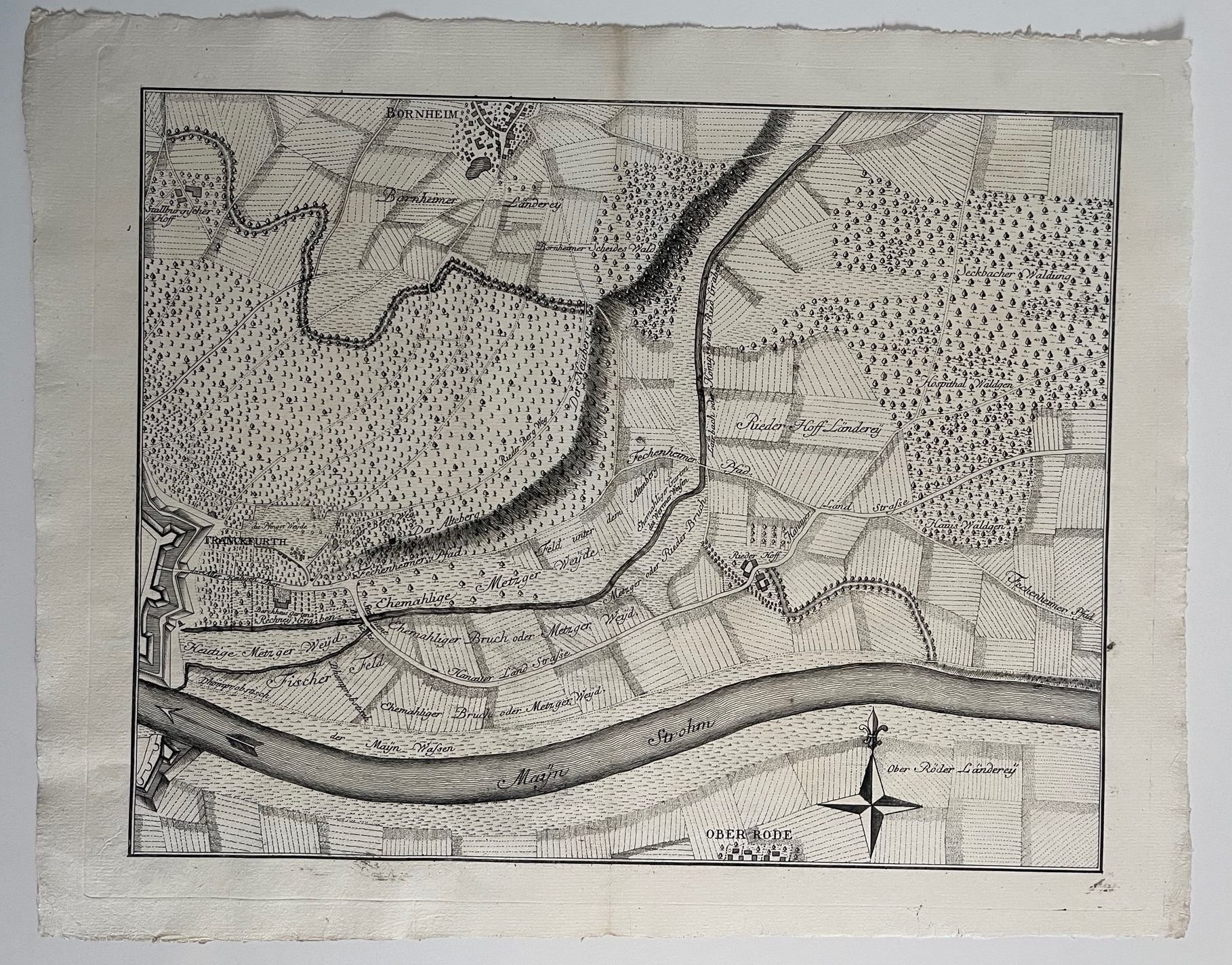 Karte, Johann Heinrich Zincke, Gebiet des Riederhofs, 1773 (Taunus-Rhein-Main - Regionalgeschichtliche Sammlung Dr. Stefan Naas CC BY-NC-SA)