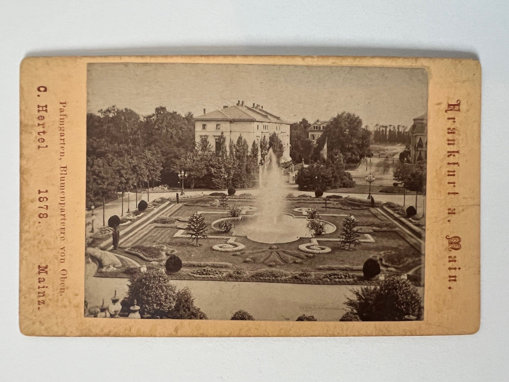 CdV, Carl Hertel, Frankfurt, Palmgarten, Blumenparterre von oben, 1878. (Taunus-Rhein-Main - Regionalgeschichtliche Sammlung Dr. Stefan Naas CC BY-NC-SA)