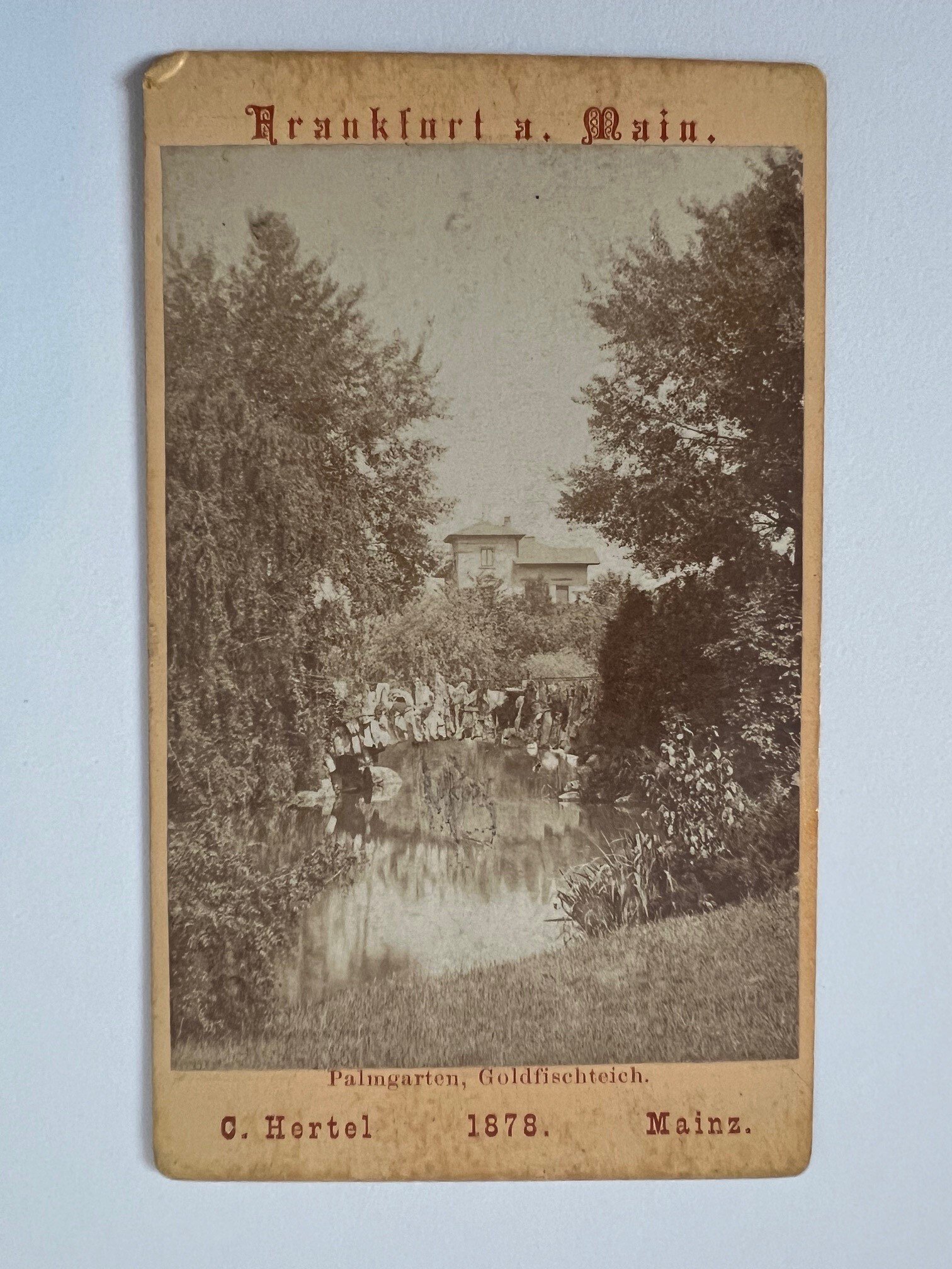 CdV, Carl Hertel, Frankfurt, Palmgarten, Goldfischteich, 1878. (Taunus-Rhein-Main - Regionalgeschichtliche Sammlung Dr. Stefan Naas CC BY-NC-SA)