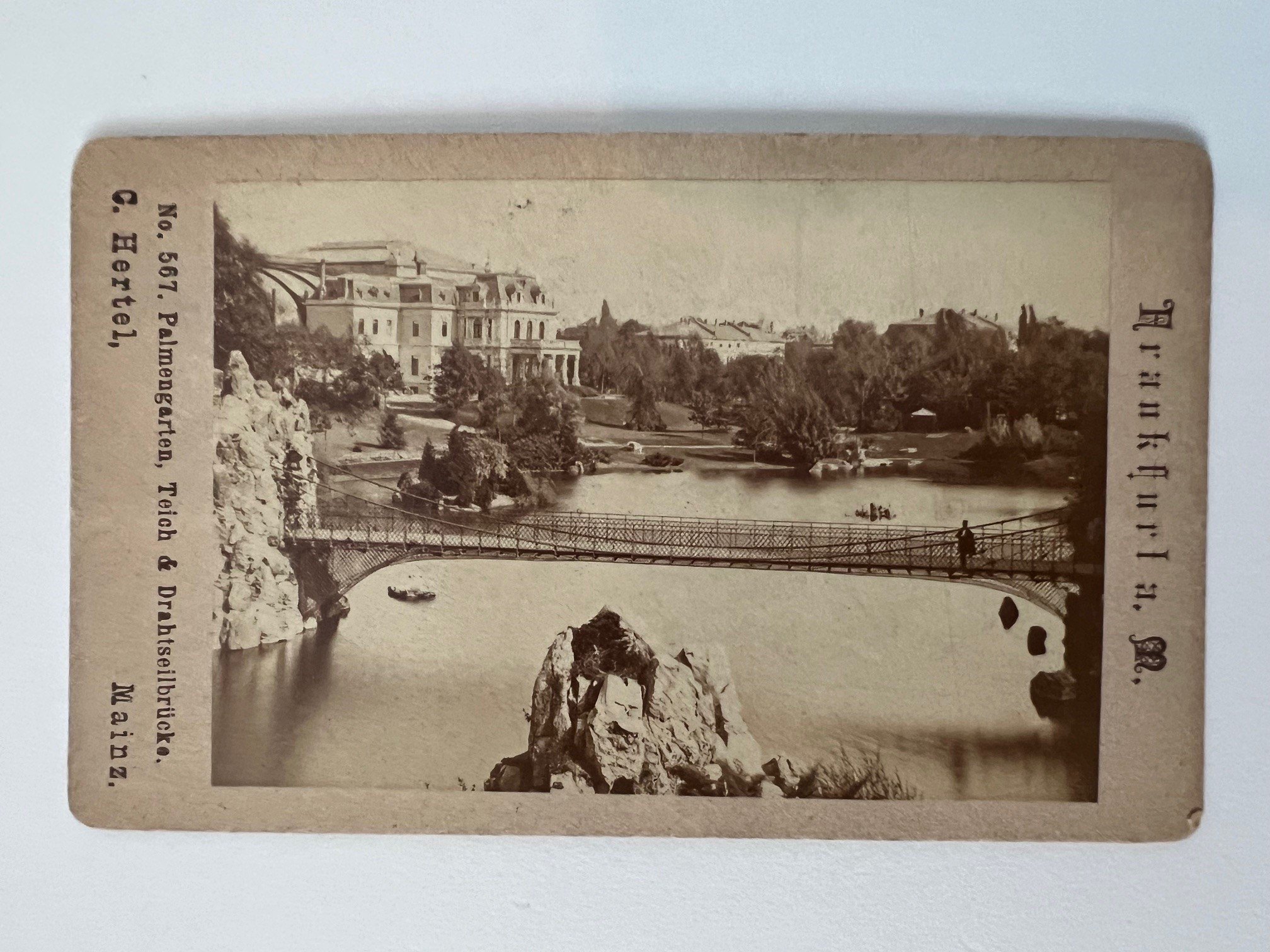 CdV, Carl Hertel, Frankfurt, Nr. 567, Palmengarten, Teich & Drahtseilbrücke, ca. 1886. (Taunus-Rhein-Main - Regionalgeschichtliche Sammlung Dr. Stefan Naas CC BY-NC-SA)