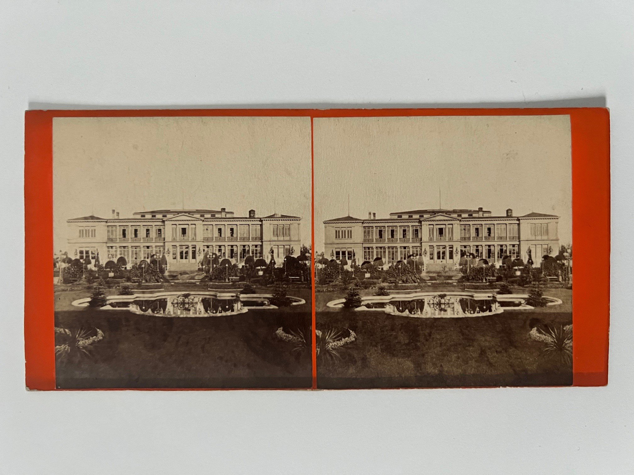 Stereobild, Frantisek Fridrich, Nr. 50, Palmgarten, ca. 1870. (Taunus-Rhein-Main - Regionalgeschichtliche Sammlung Dr. Stefan Naas CC BY-NC-SA)