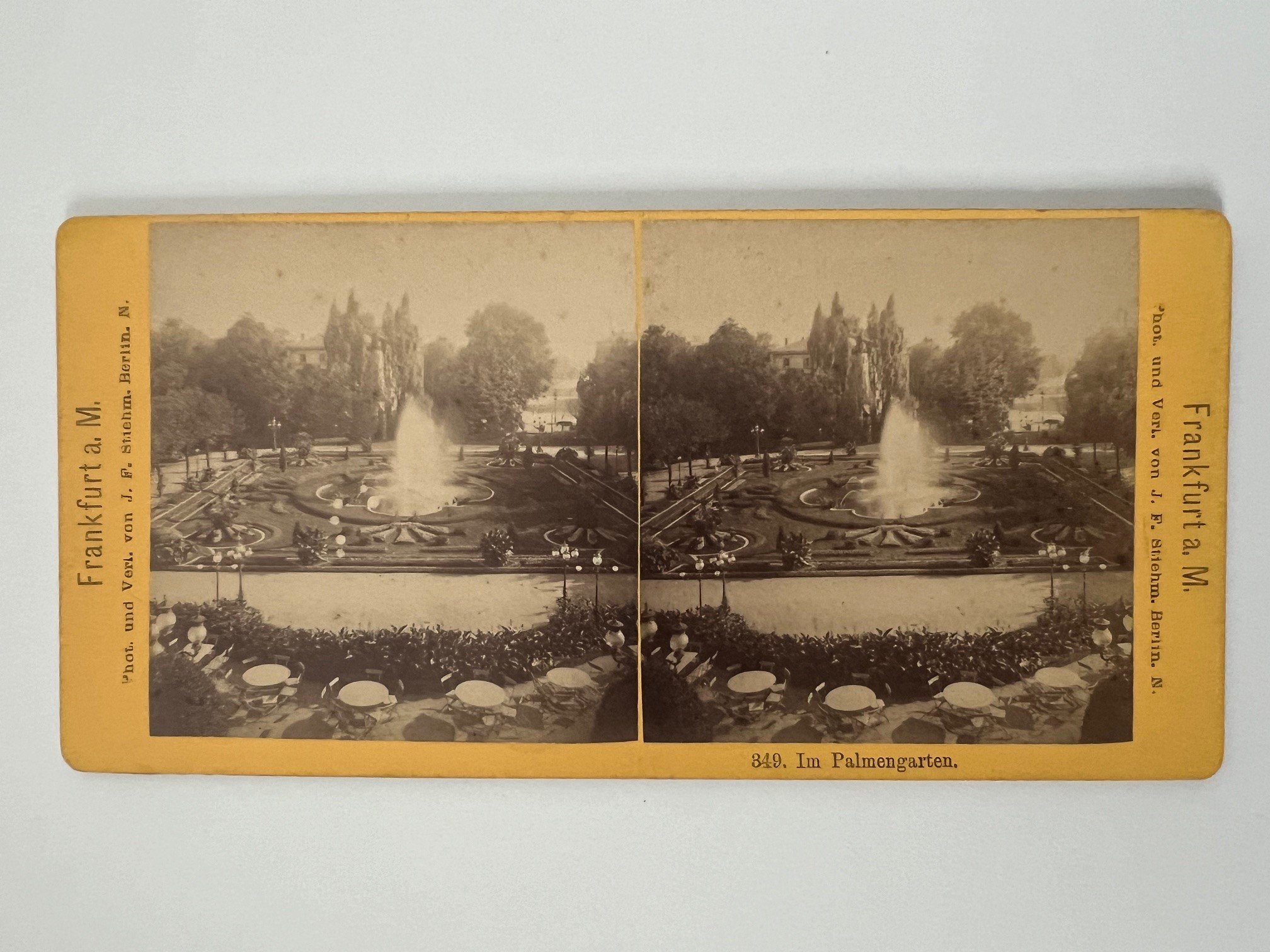 Stereobild, Johann Friedrich Stiehm, Frankfurt, Nr. 349, Im Palmengarten, ca. 1880. (Taunus-Rhein-Main - Regionalgeschichtliche Sammlung Dr. Stefan Naas CC BY-NC-SA)