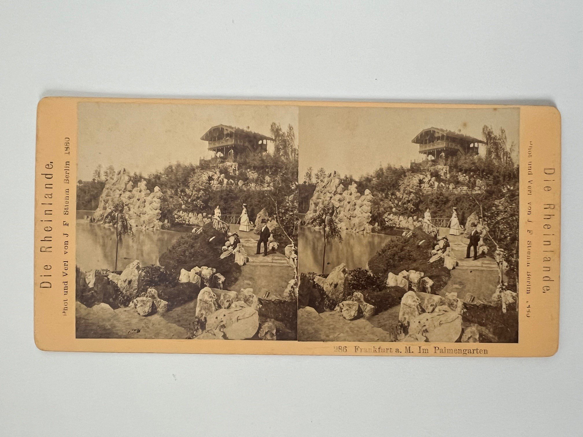 Stereobild, Johann Friedrich Stiehm, Frankfurt, Nr. 286, Im Palmengarten, 1880. (Taunus-Rhein-Main - Regionalgeschichtliche Sammlung Dr. Stefan Naas CC BY-NC-SA)