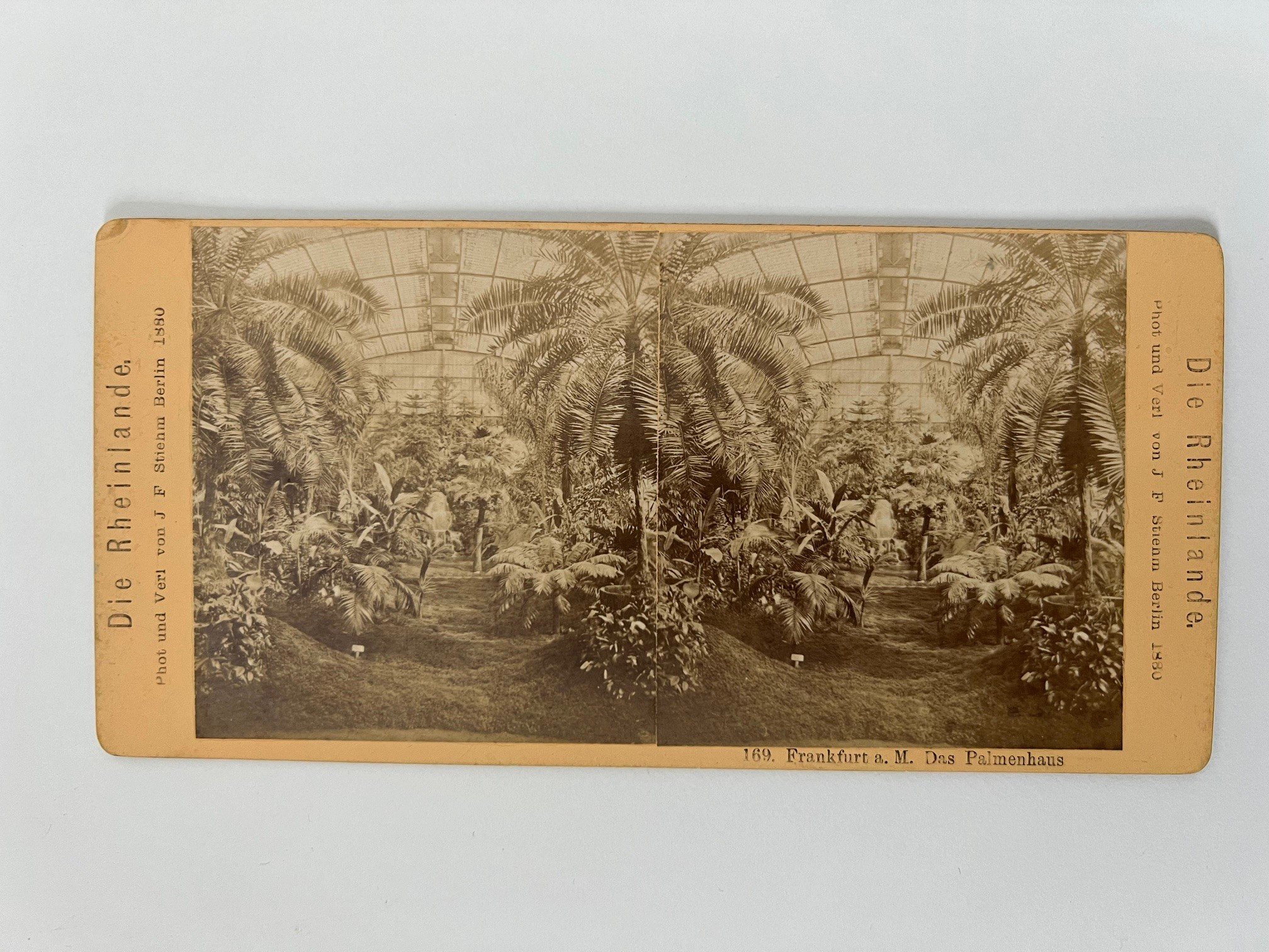 Stereobild, Johann Friedrich Stiehm, Frankfurt, 169, Das Palmenhaus, 1880. (Taunus-Rhein-Main - Regionalgeschichtliche Sammlung Dr. Stefan Naas CC BY-NC-SA)