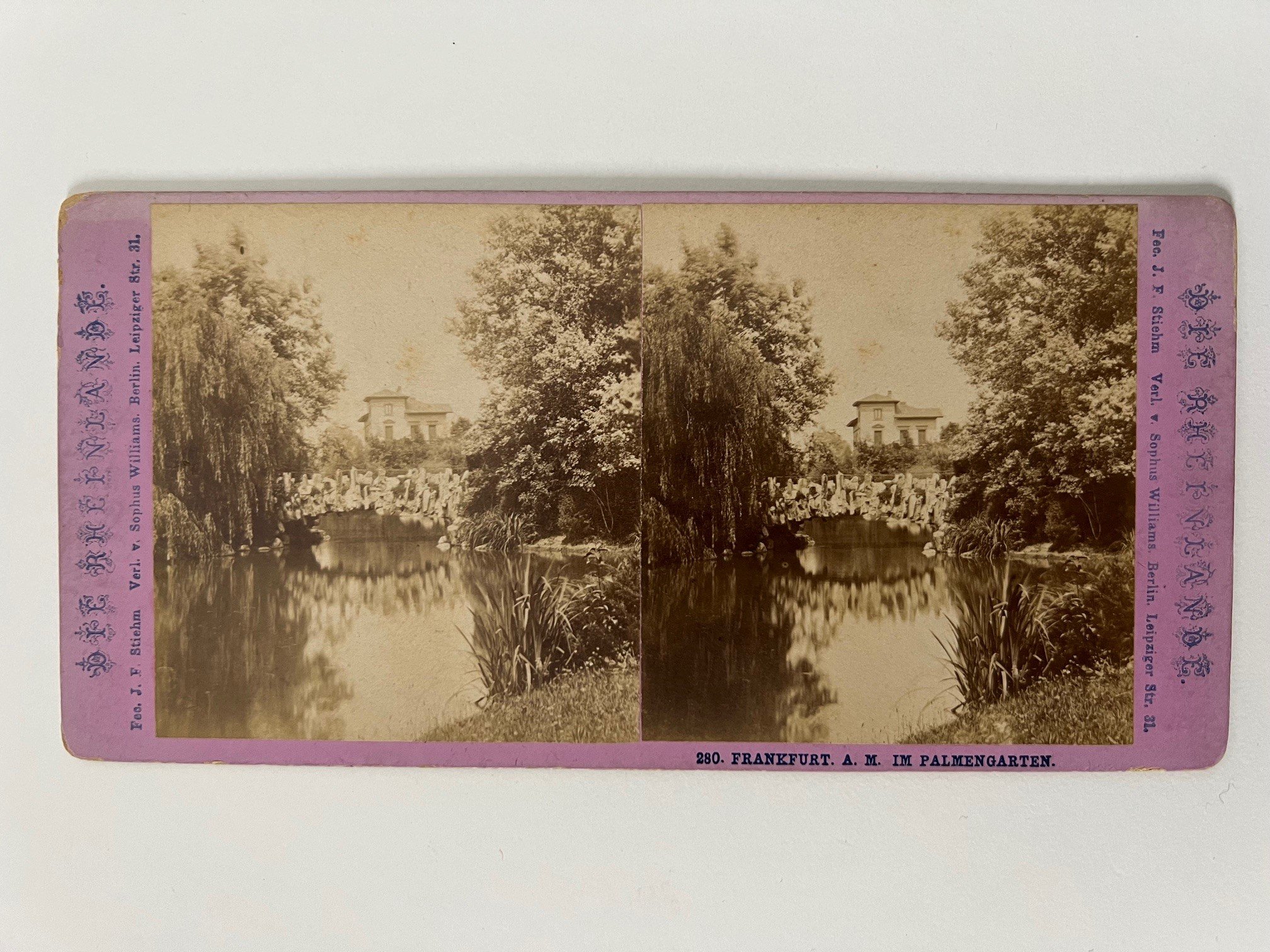 Stereobild, Johann Friedrich Stiehm, Frankfurt, Nr. 280, Palmengarten, ca. 1880. (Taunus-Rhein-Main - Regionalgeschichtliche Sammlung Dr. Stefan Naas CC BY-NC-SA)