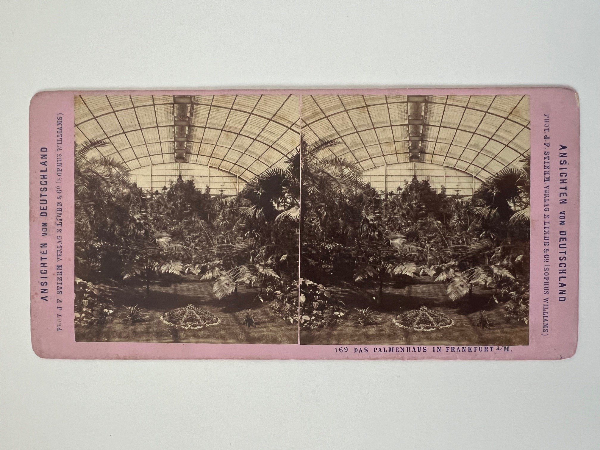Stereobild, Johann Friedrich Stiehm, Frankfurt, Nr. 169, Das Palmenhaus, ca. 1880. (Taunus-Rhein-Main - Regionalgeschichtliche Sammlung Dr. Stefan Naas CC BY-NC-SA)