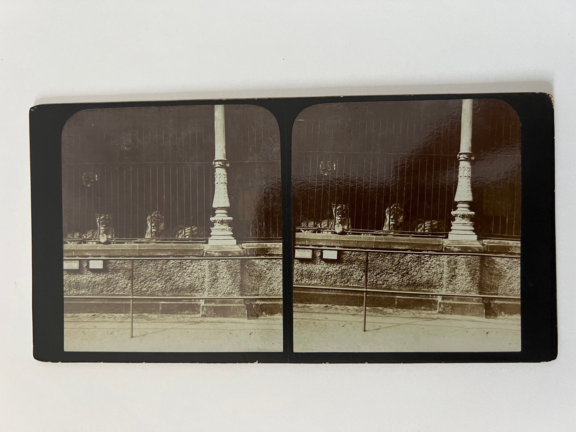 Stereobild, Unbekannter Fotograf, Frankfurt, Im Zoo, dat. 1902. (Taunus-Rhein-Main - Regionalgeschichtliche Sammlung Dr. Stefan Naas CC BY-NC-SA)