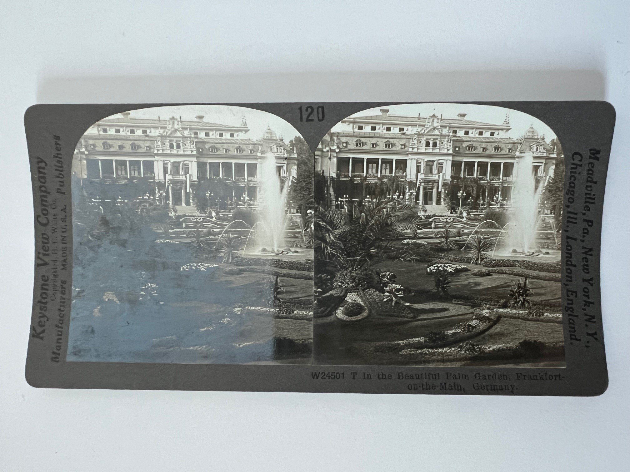 Stereobild, Keystone View Company, Nr. W 24501, In the Beautiful Palm Garden, ca. 1910. (Taunus-Rhein-Main - Regionalgeschichtliche Sammlung Dr. Stefan Naas CC BY-NC-SA)
