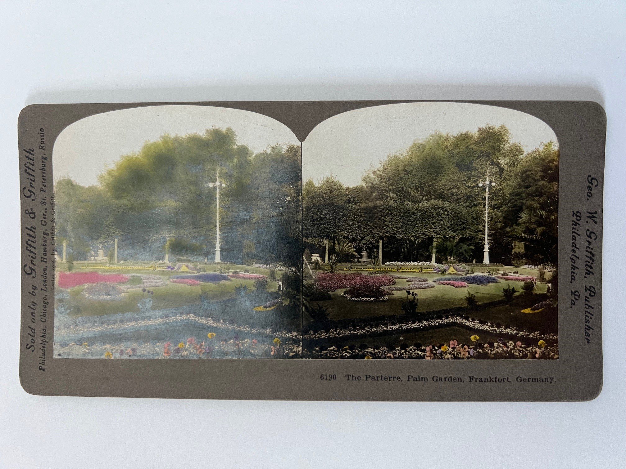 Stereobild, Griffith & Griffith, Frankfurt, Nr. 6190, The Parterre, Palm Garden, ca. 1912. (Taunus-Rhein-Main - Regionalgeschichtliche Sammlung Dr. Stefan Naas CC BY-NC-SA)