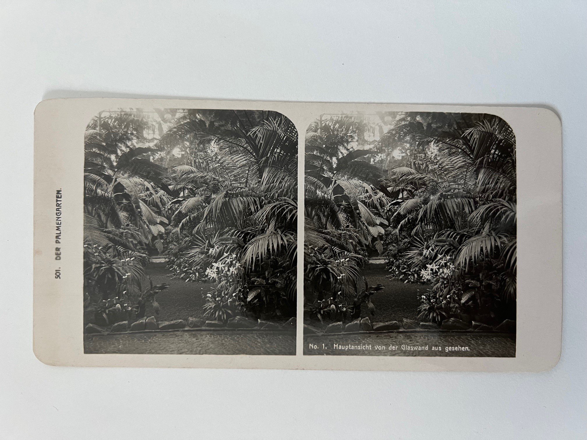 Stereobild, Unbekannter Fotograf, Frankfurt, Nr. 1, Der Palmengarten, Hauptansicht von der Glaswand aus gesehen, ca. 1914. (Taunus-Rhein-Main - Regionalgeschichtliche Sammlung Dr. Stefan Naas CC BY-NC-SA)