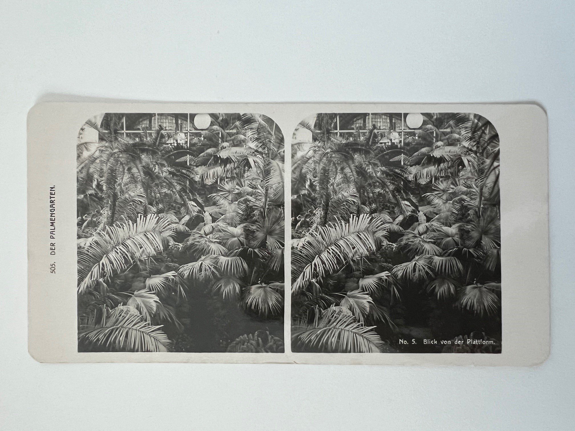 Stereobild, Unbekannter Fotograf, Frankfurt, Nr. 5, Der Palmengarten, Blick von der Plattform, ca. 1914. (Taunus-Rhein-Main - Regionalgeschichtliche Sammlung Dr. Stefan Naas CC BY-NC-SA)