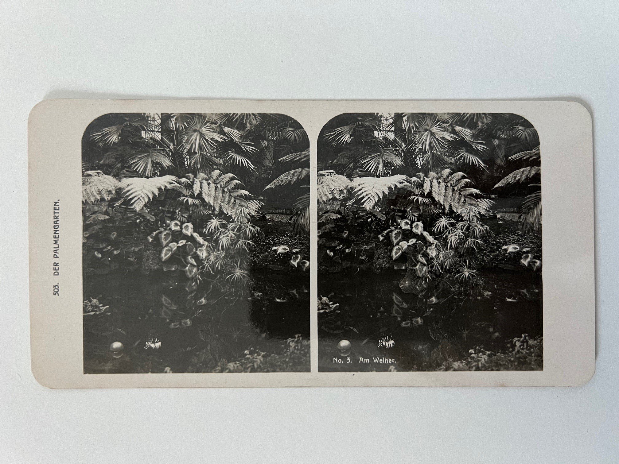 Stereobild, Unbekannter Fotograf, Frankfurt, Nr. 3, Der Palmengarten, Am Weiher, ca. 1914. (Taunus-Rhein-Main - Regionalgeschichtliche Sammlung Dr. Stefan Naas CC BY-NC-SA)
