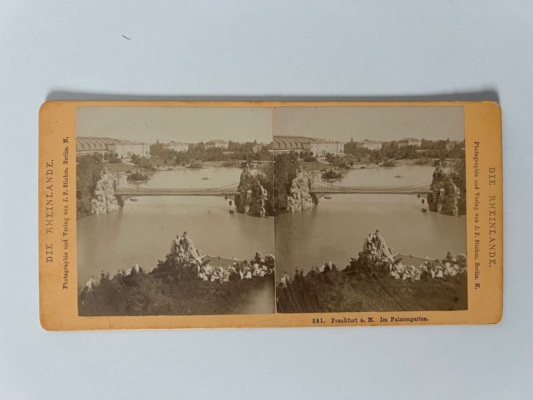 Stereobild, Johann Friedrich Stiehm, Frankfurt, Nr. 181, Im Palmengarten, ca. 1880. (Taunus-Rhein-Main - Regionalgeschichtliche Sammlung Dr. Stefan Naas CC BY-NC-SA)