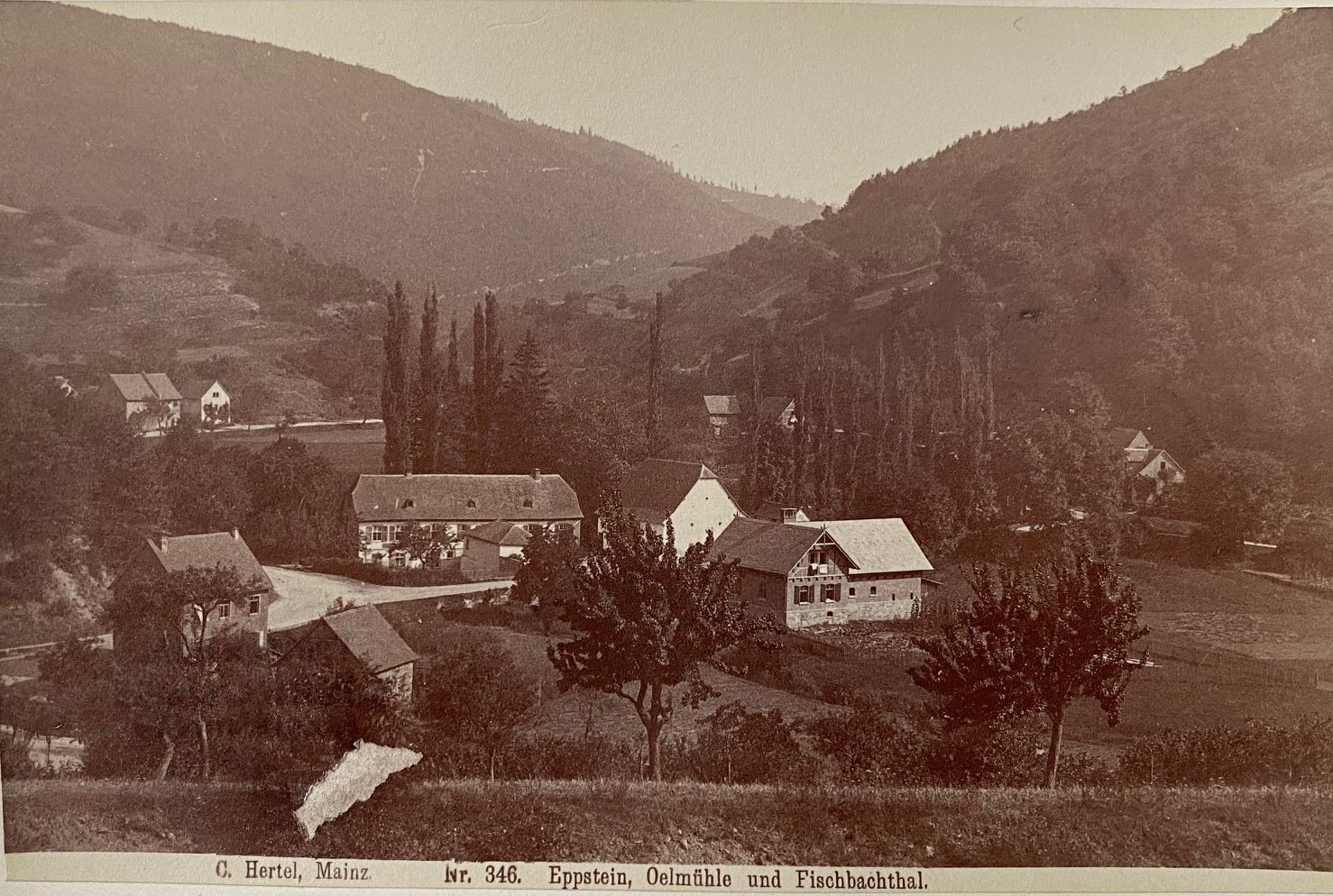 Fotografie, Carl Hertel No. 346, Eppstein und Fischbachthal Fischbach, ca. 1885 (Taunus-Rhein-Main - Regionalgeschichtliche Sammlung Dr. Stefan Naas CC BY-NC-SA)
