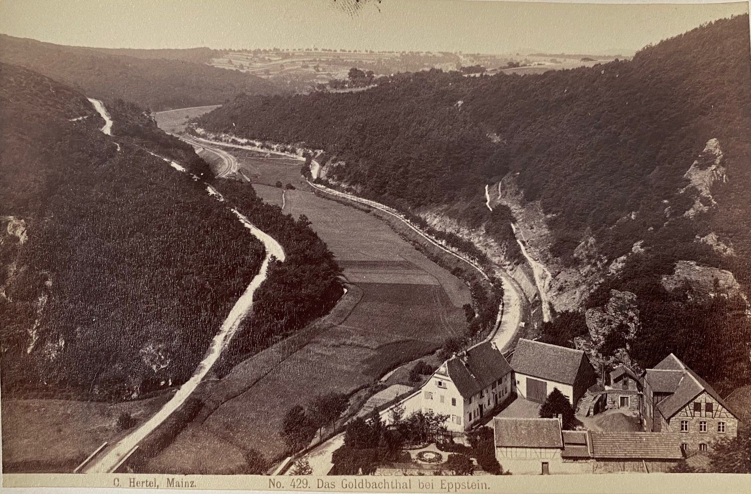 Fotografie, Carl Hertel No. 429, Das Goldbachthal bei Eppstein, ca. 1885 (Taunus-Rhein-Main - Regionalgeschichtliche Sammlung Dr. Stefan Naas CC BY-NC-SA)