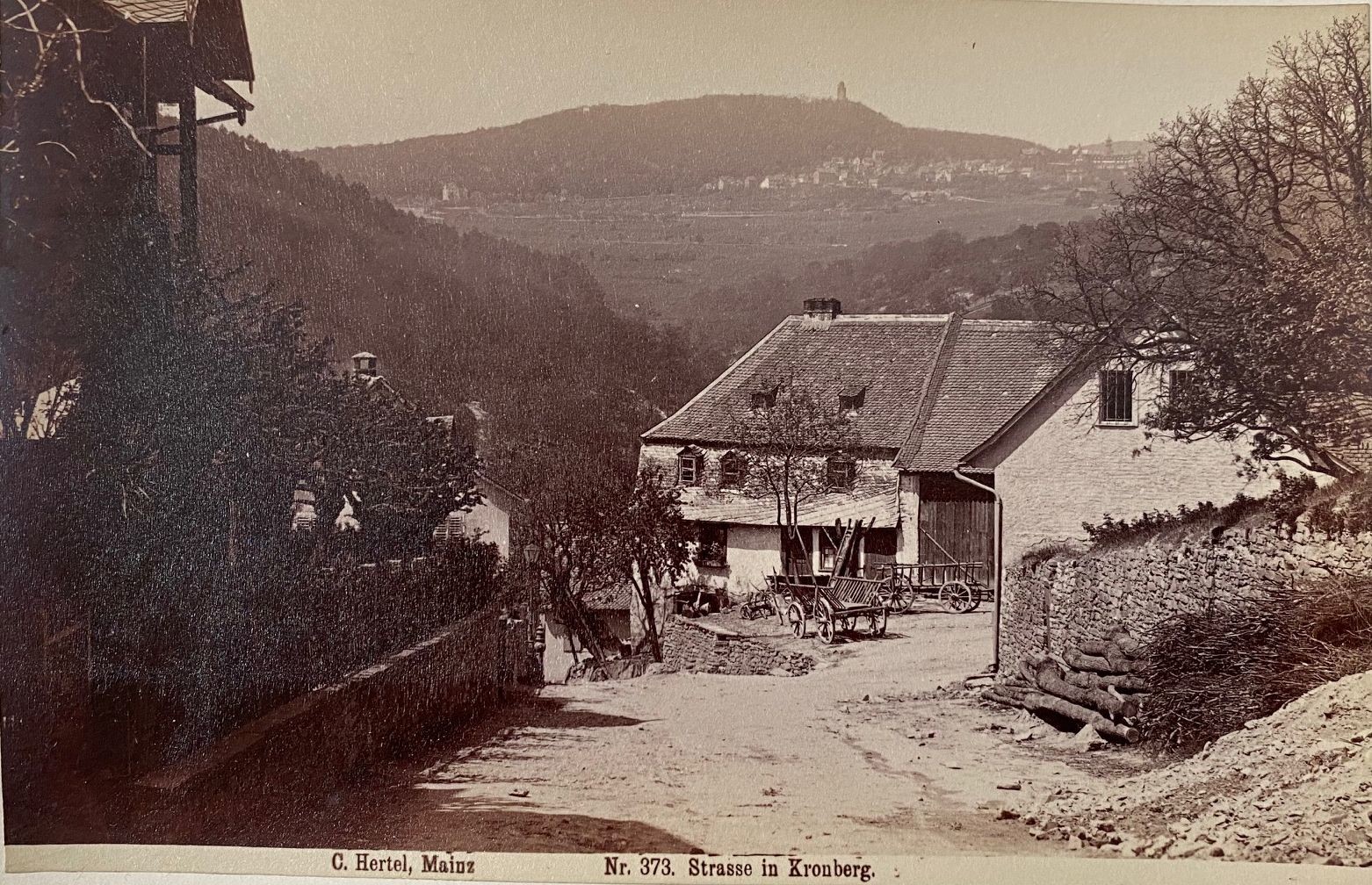 Fotografie, Carl Hertel No. 373, Strasse in Kronberg, ca. 1885 (Taunus-Rhein-Main - Regionalgeschichtliche Sammlung Dr. Stefan Naas CC BY-NC-SA)