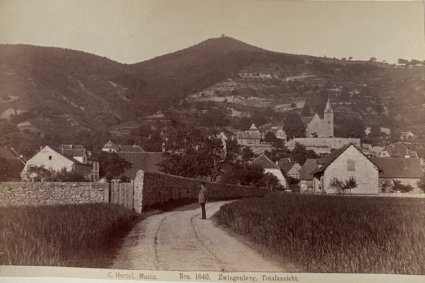Fotografie, Carl Hertel No. 1640, Zwingenberg, Totalansicht, ca. 1885 (Taunus-Rhein-Main - Regionalgeschichtliche Sammlung Dr. Stefan Naas CC BY-NC-SA)