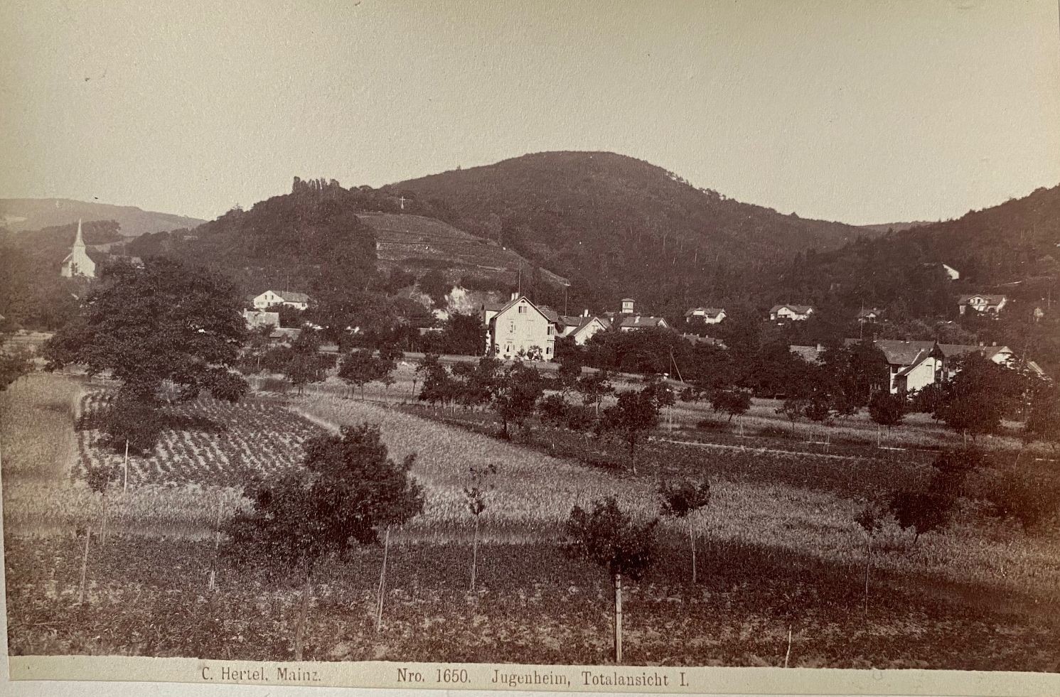 Fotografie, Carl Hertel No. 1650, Jugenheim, Totalansicht I, ca. 1885 (Taunus-Rhein-Main - Regionalgeschichtliche Sammlung Dr. Stefan Naas CC BY-NC-SA)