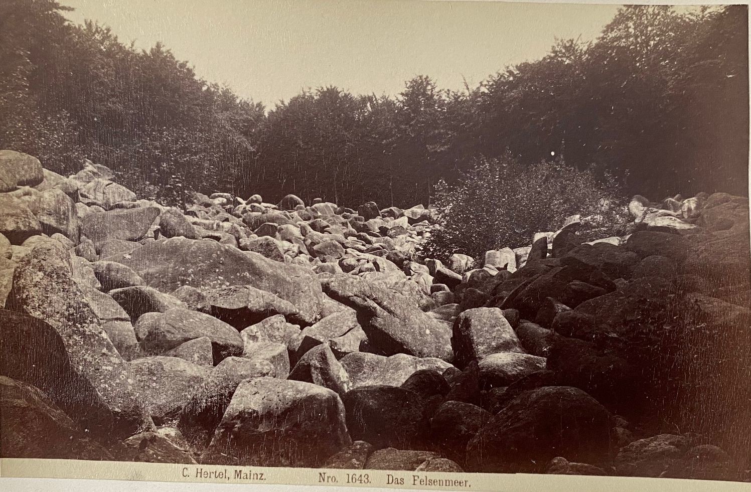 Fotografie, Carl Hertel No. 1643, Das Felsenmeer, ca. 1885 (Taunus-Rhein-Main - Regionalgeschichtliche Sammlung Dr. Stefan Naas CC BY-NC-SA)