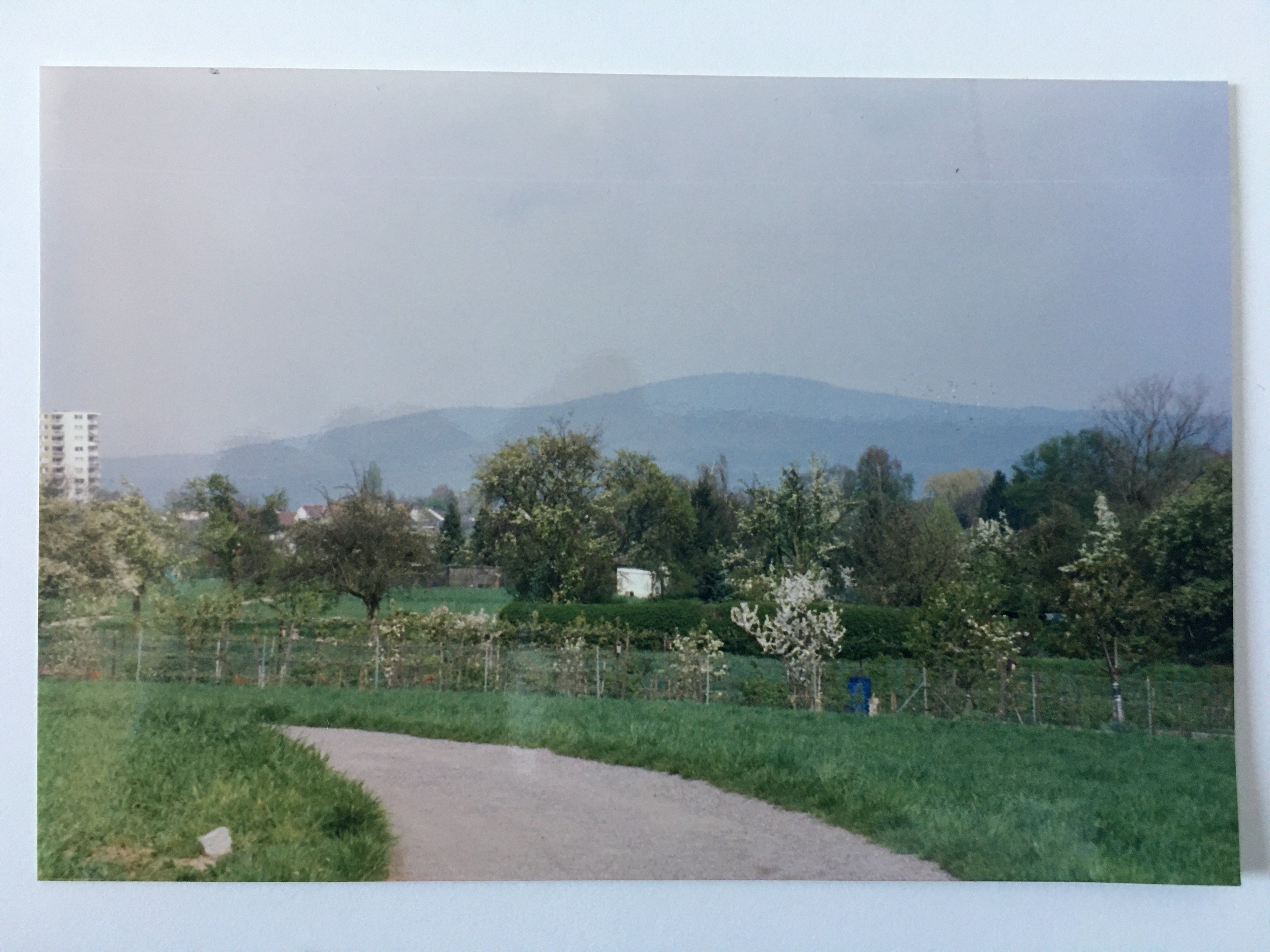 Feldweg Rechts am Pfingstborn in Steinbach, ca. 1994 (Taunus-Rhein-Main - Regionalgeschichtliche Sammlung Dr. Stefan Naas CC BY-NC-SA)