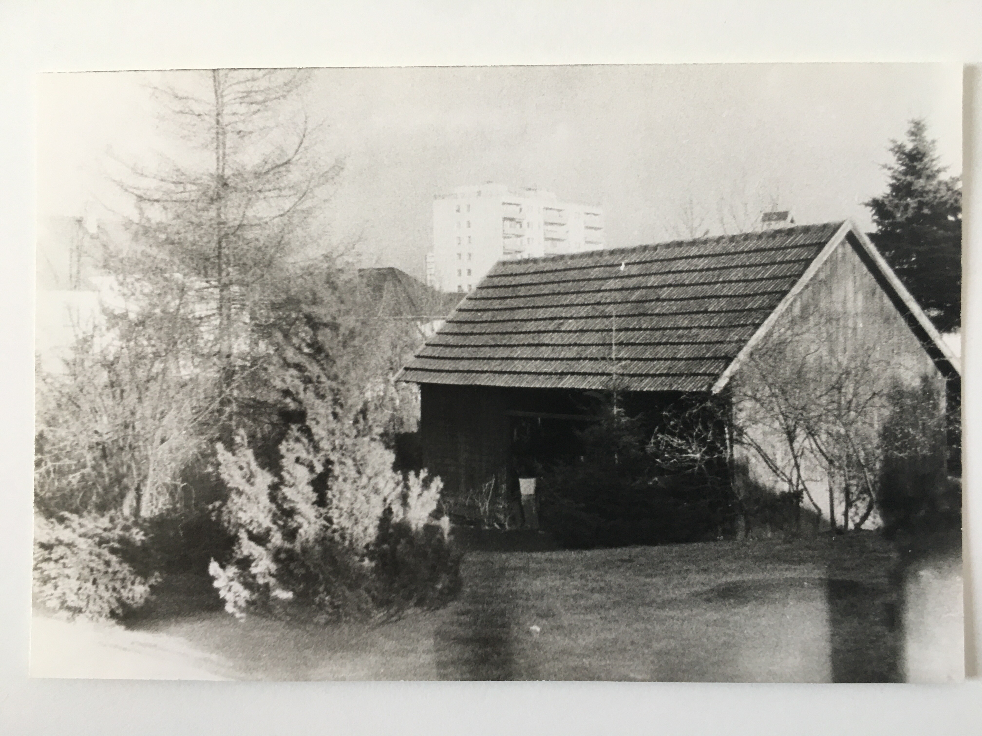 Holzschuppen im Garten Schwanengasse 6, ca. 1977 (Taunus-Rhein-Main - Regionalgeschichtliche Sammlung Dr. Stefan Naas CC BY-NC-SA)