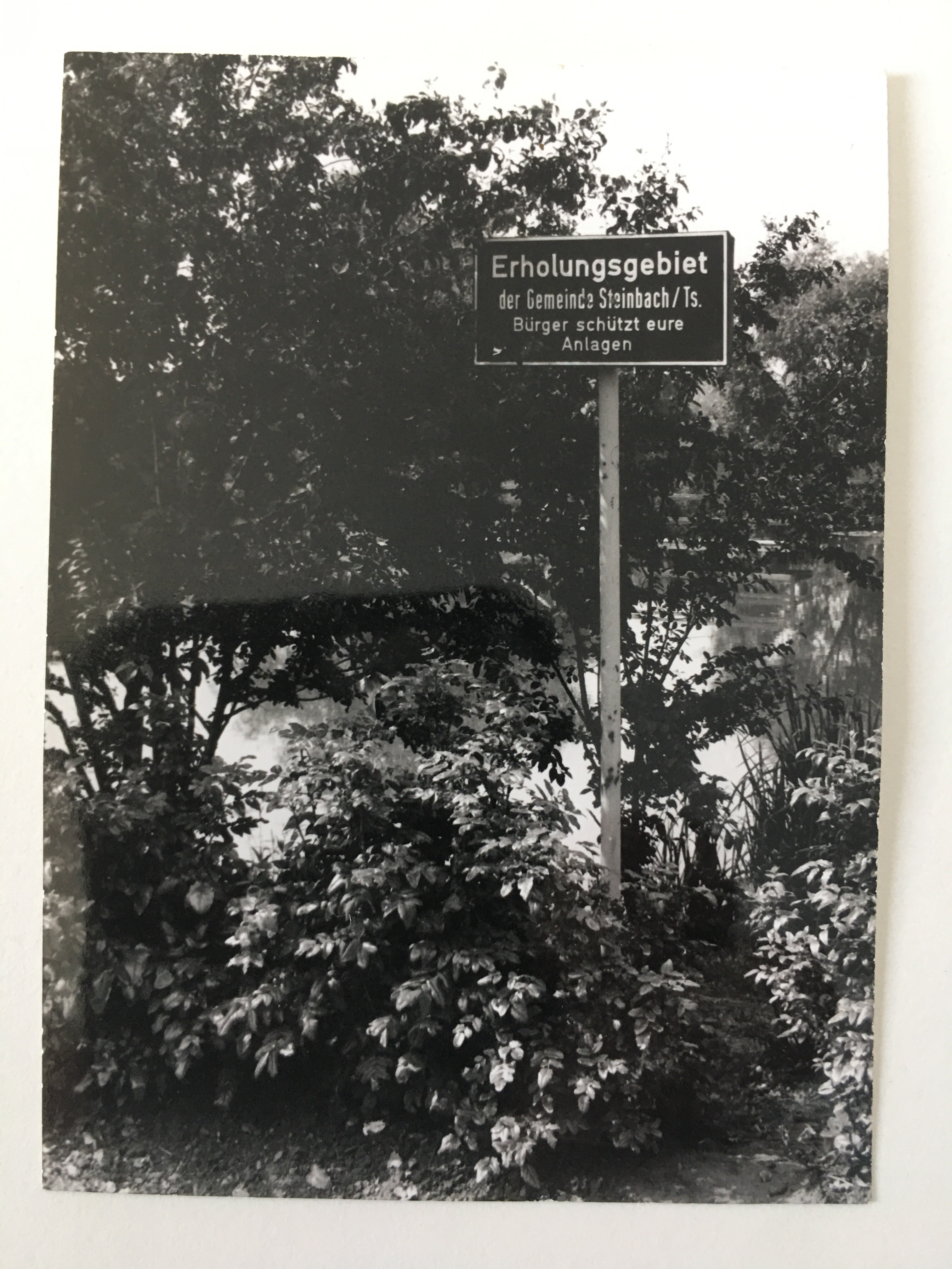 Weiher im Steinbacher Stadtwald, ca. 1980 (Taunus-Rhein-Main - Regionalgeschichtliche Sammlung Dr. Stefan Naas CC BY-NC-SA)